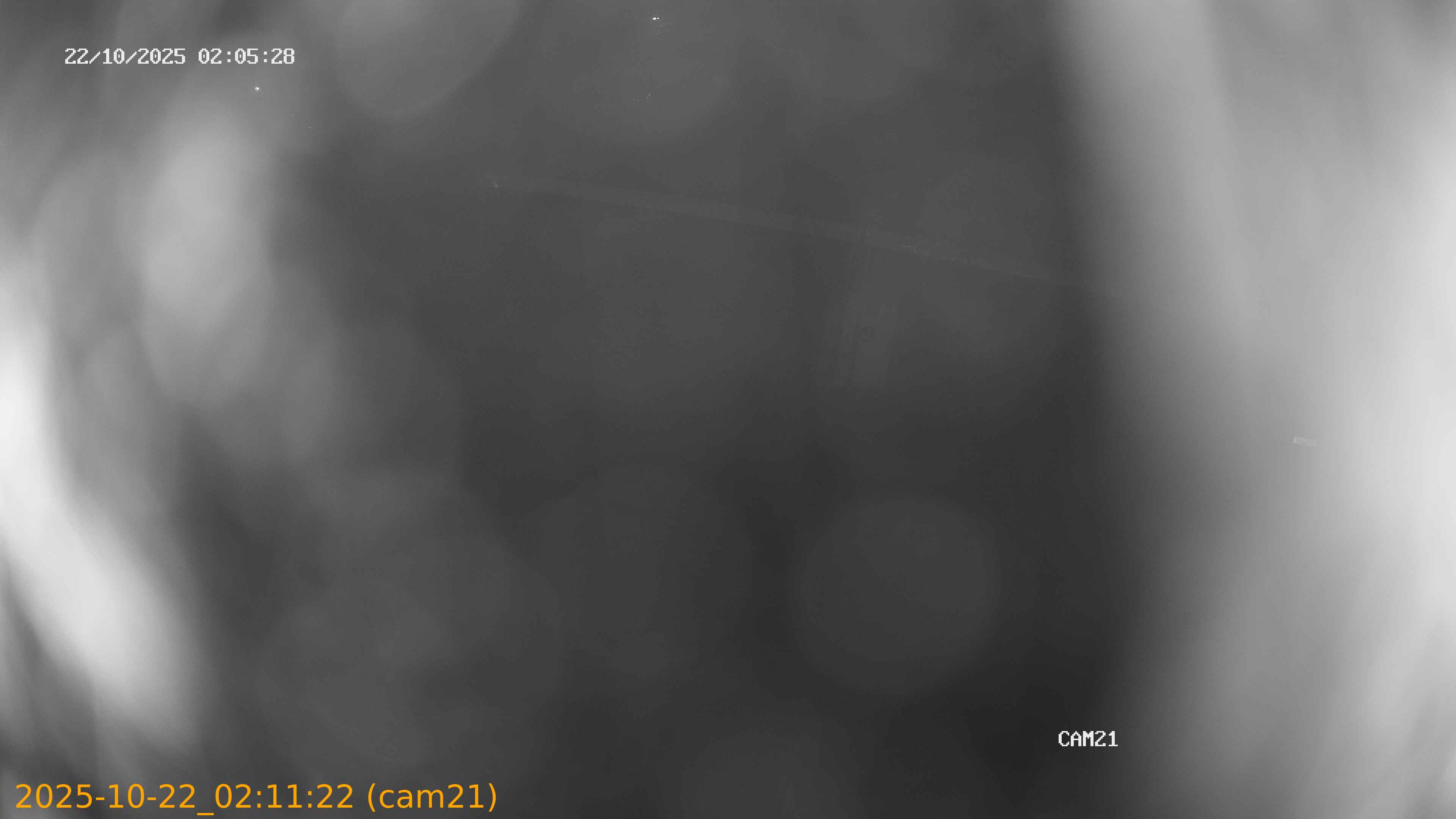 20251022021122