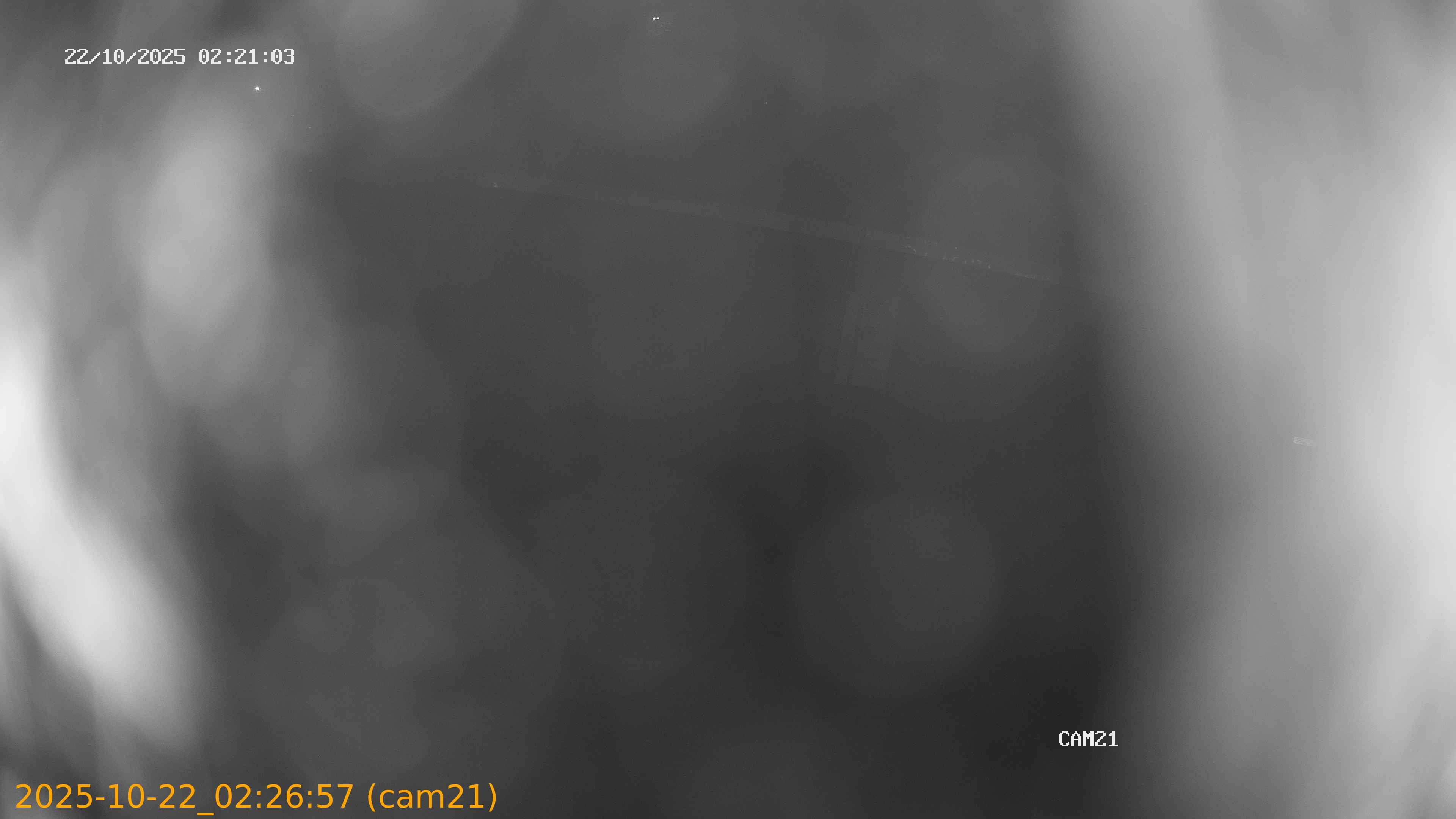 20251022022657