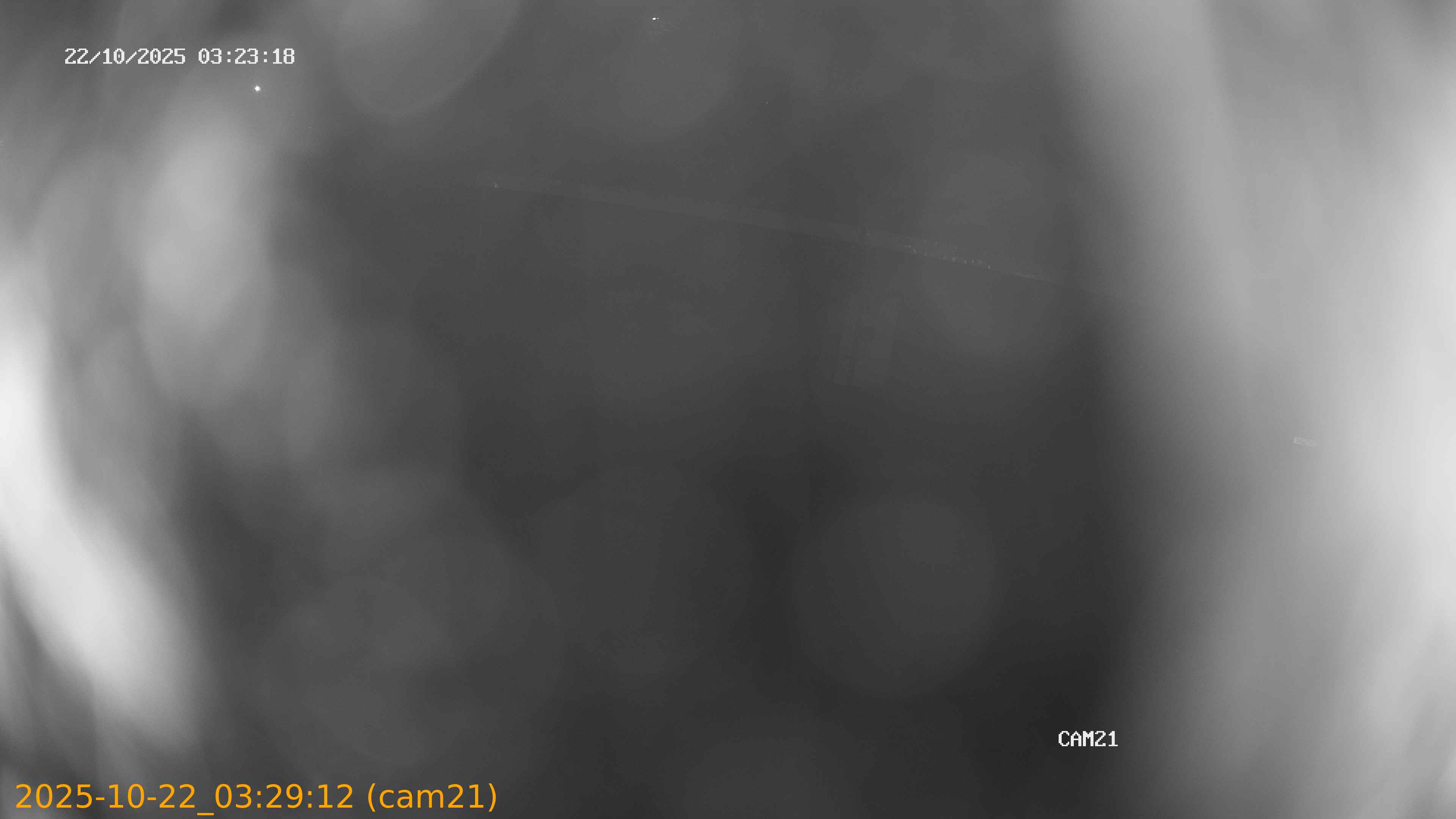 20251022032912