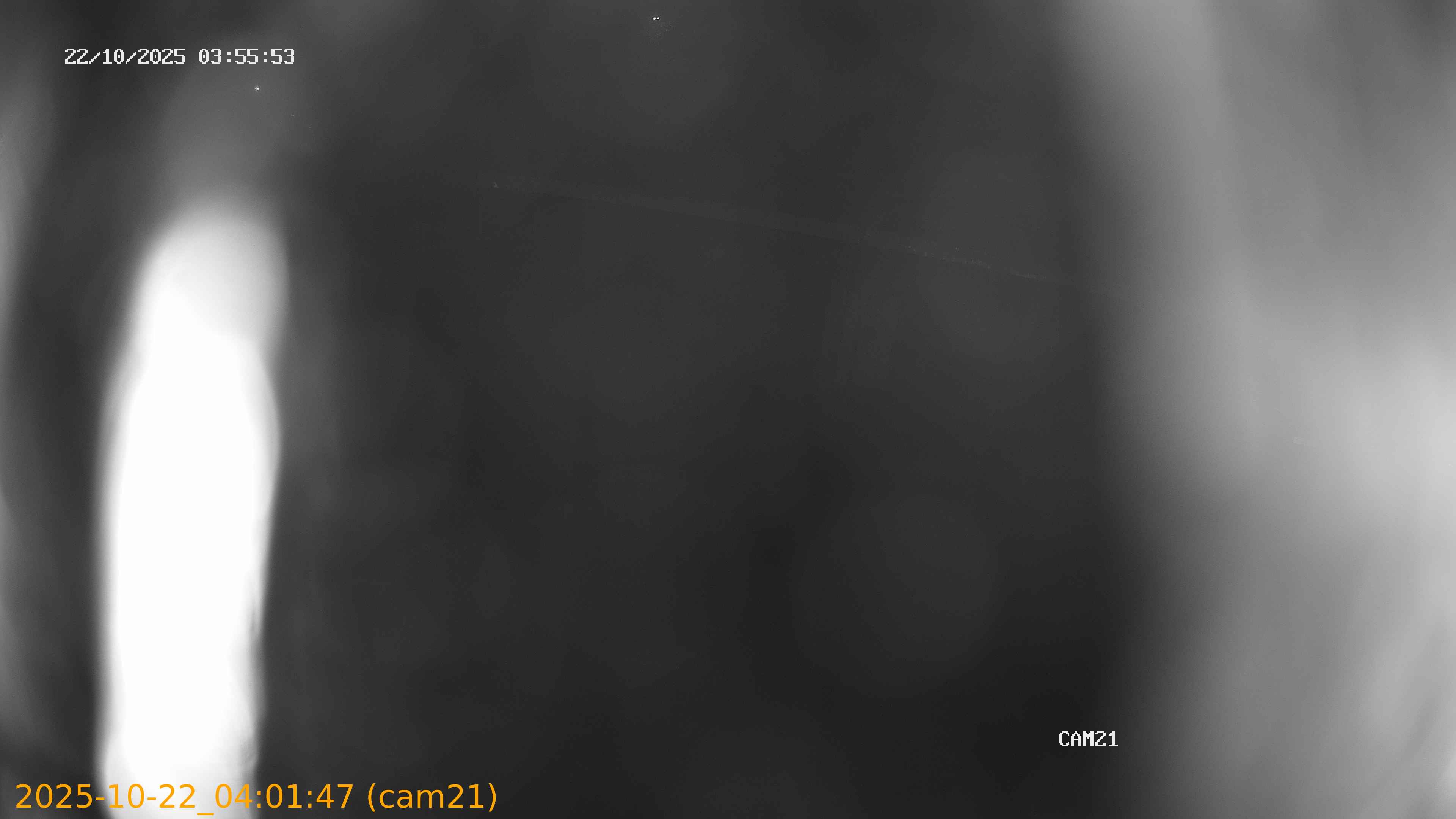20251022040147
