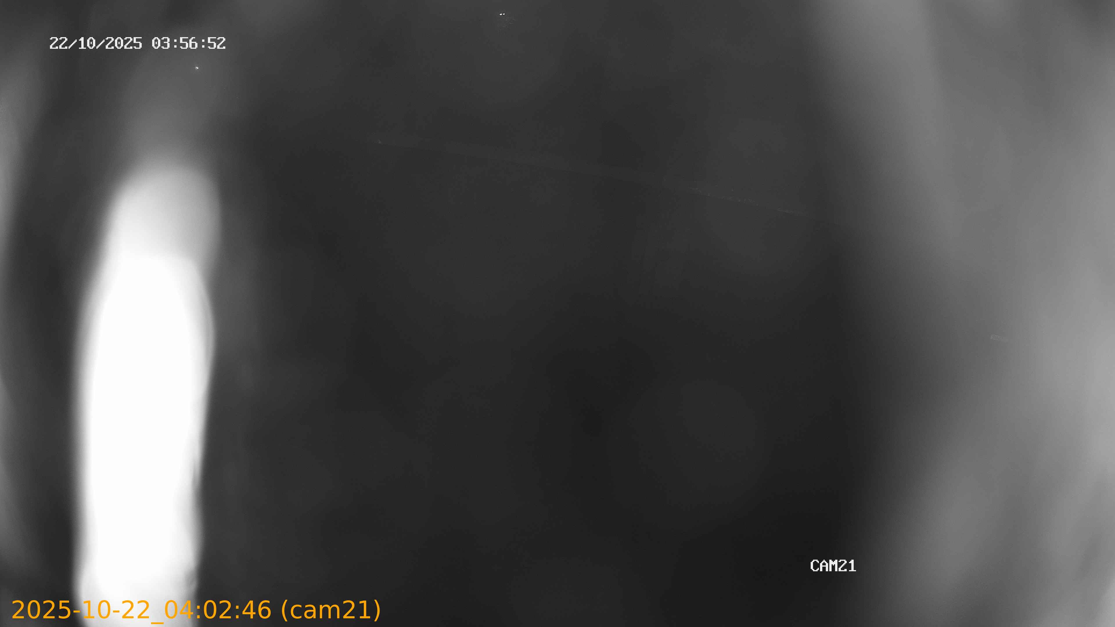 20251022040246