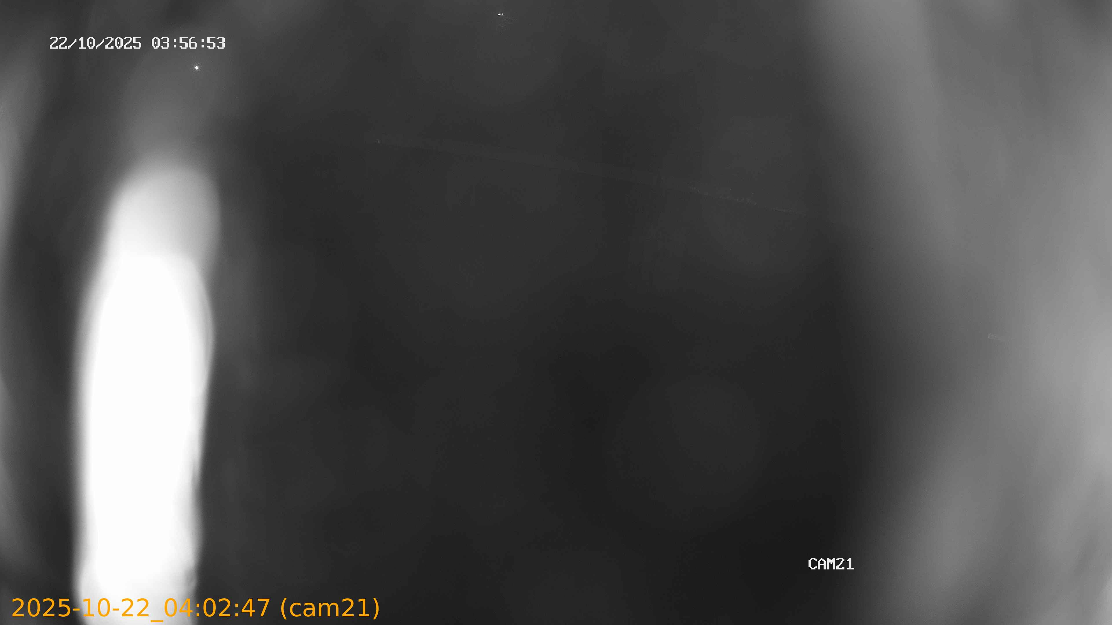20251022040247