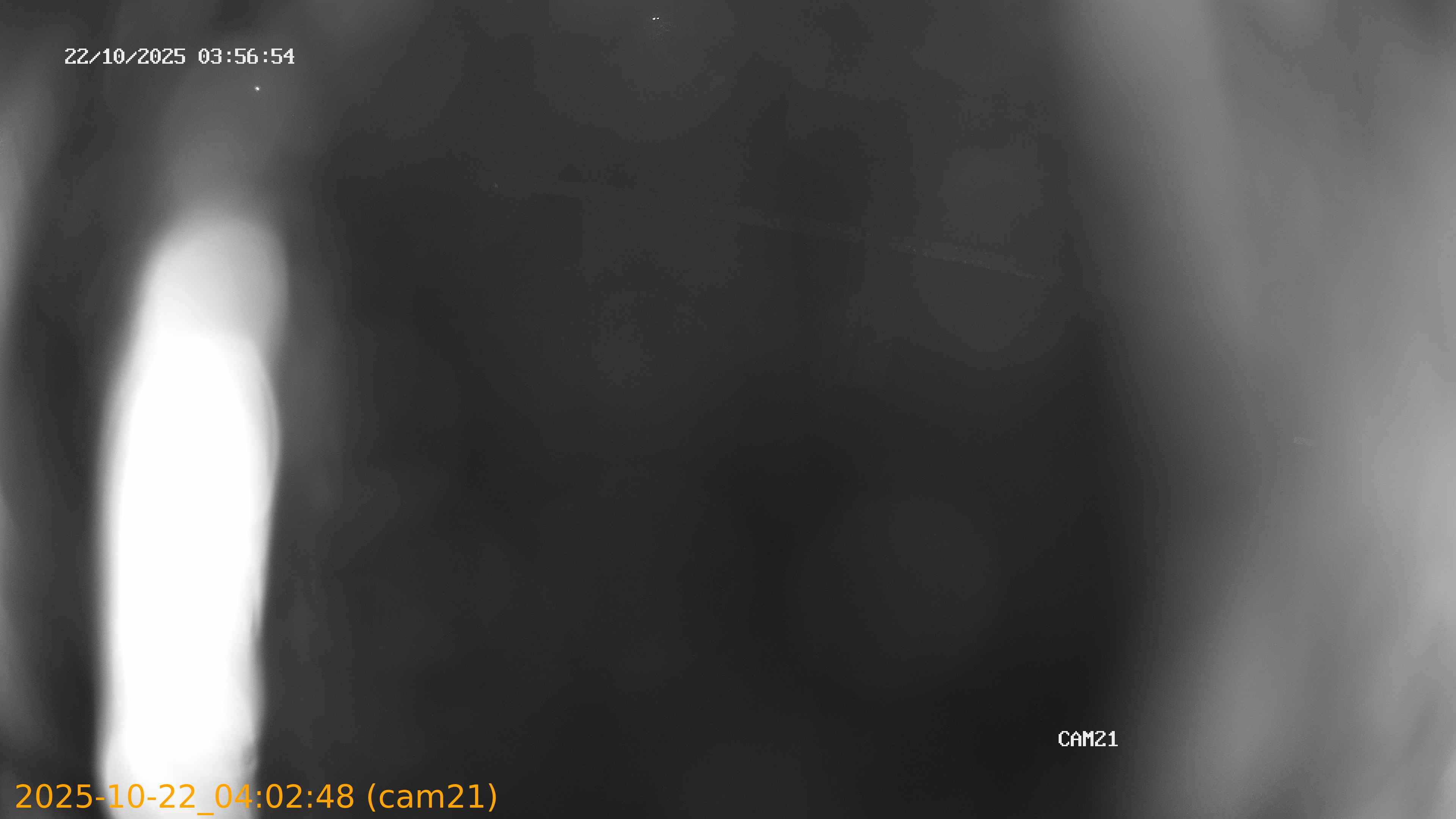 20251022040248