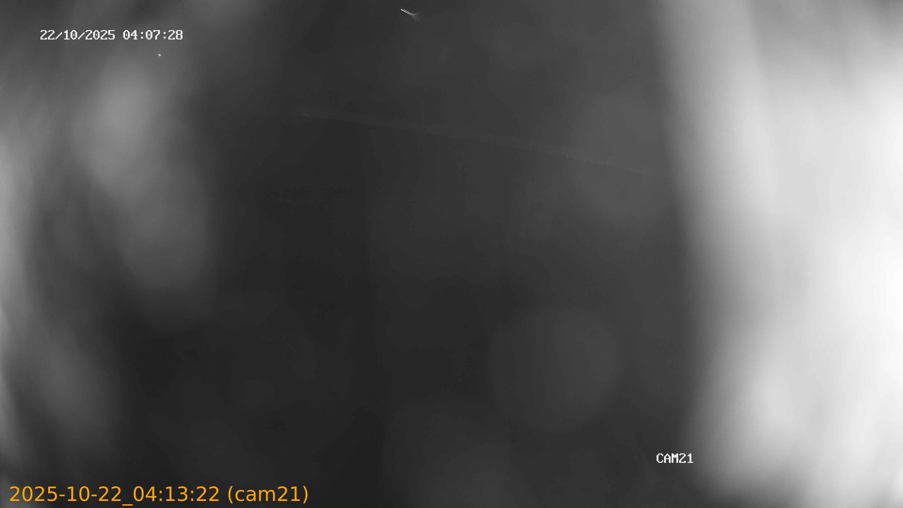 20251022041322