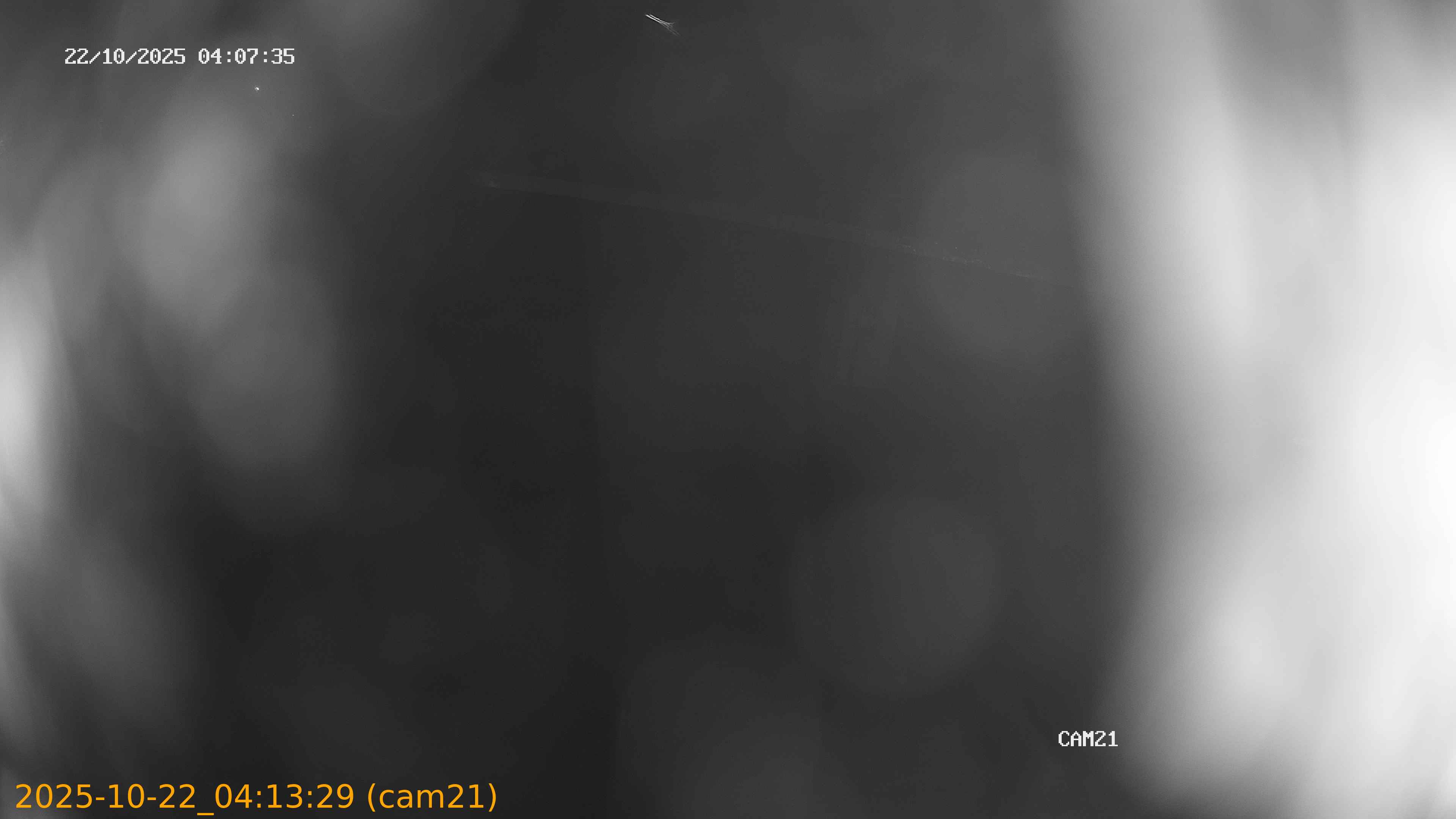 20251022041329