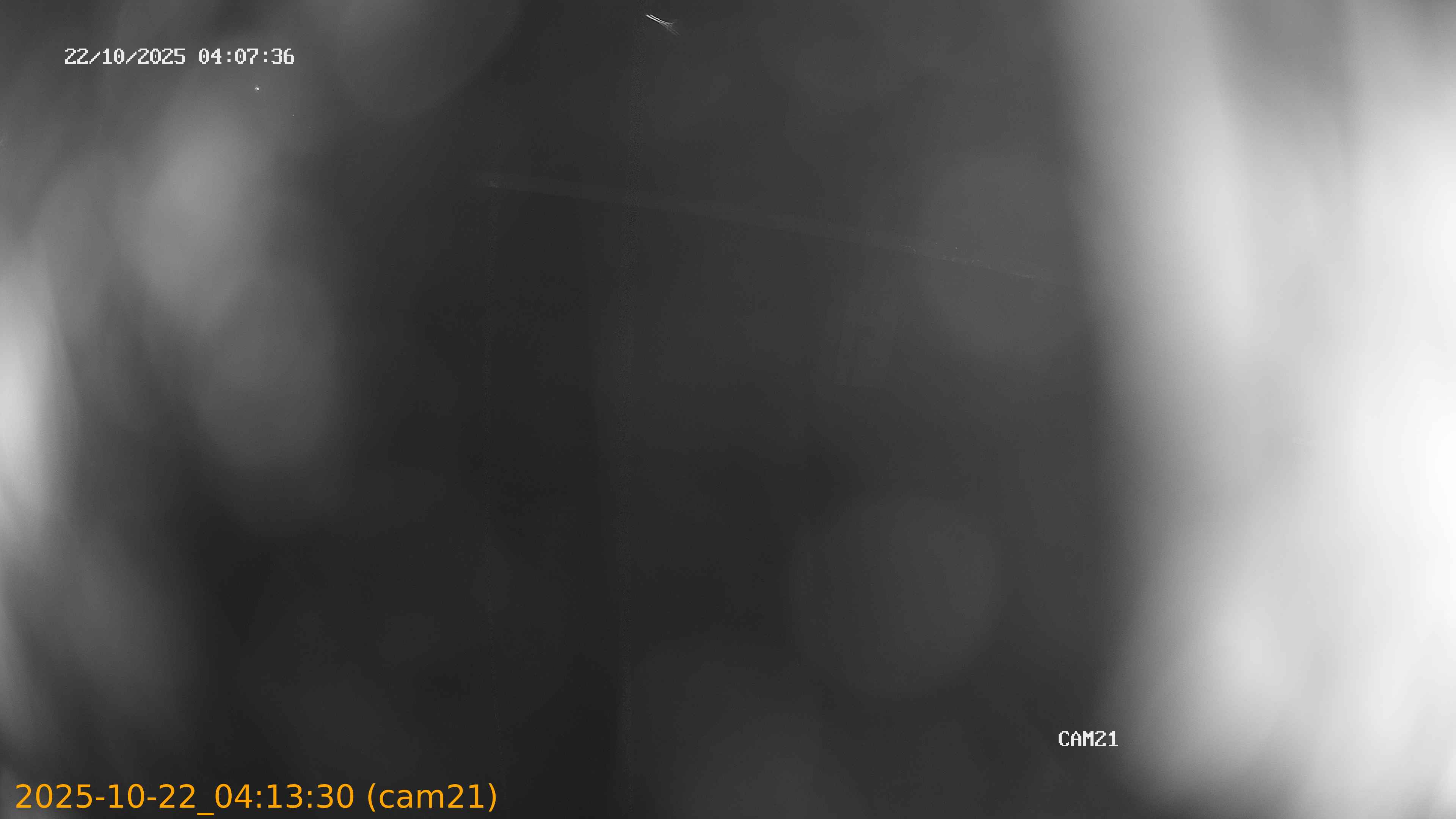 20251022041330