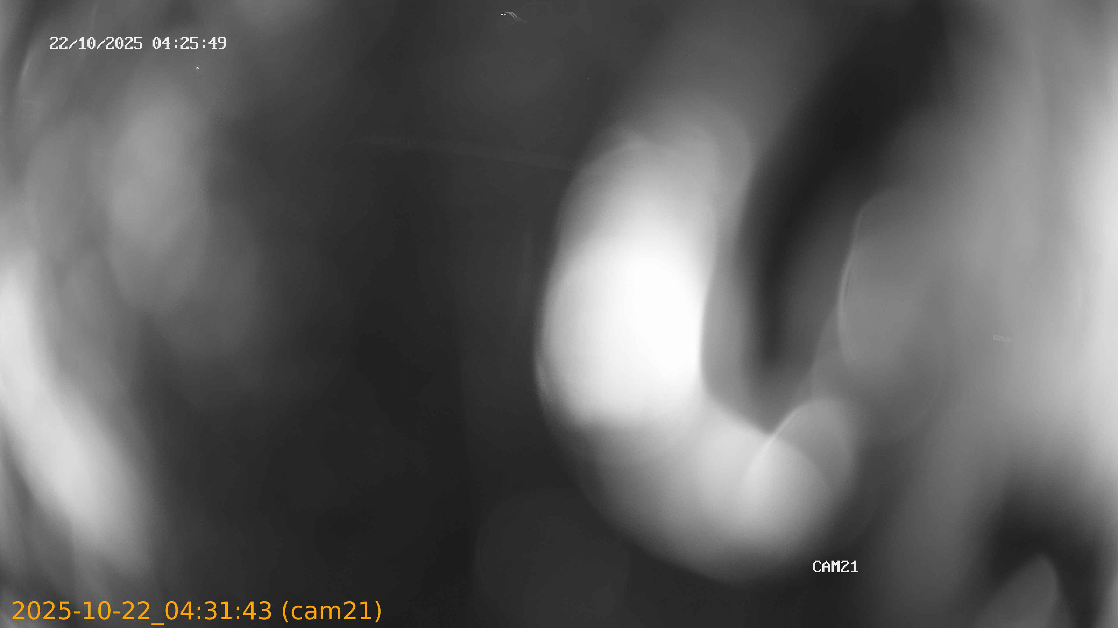 20251022043143