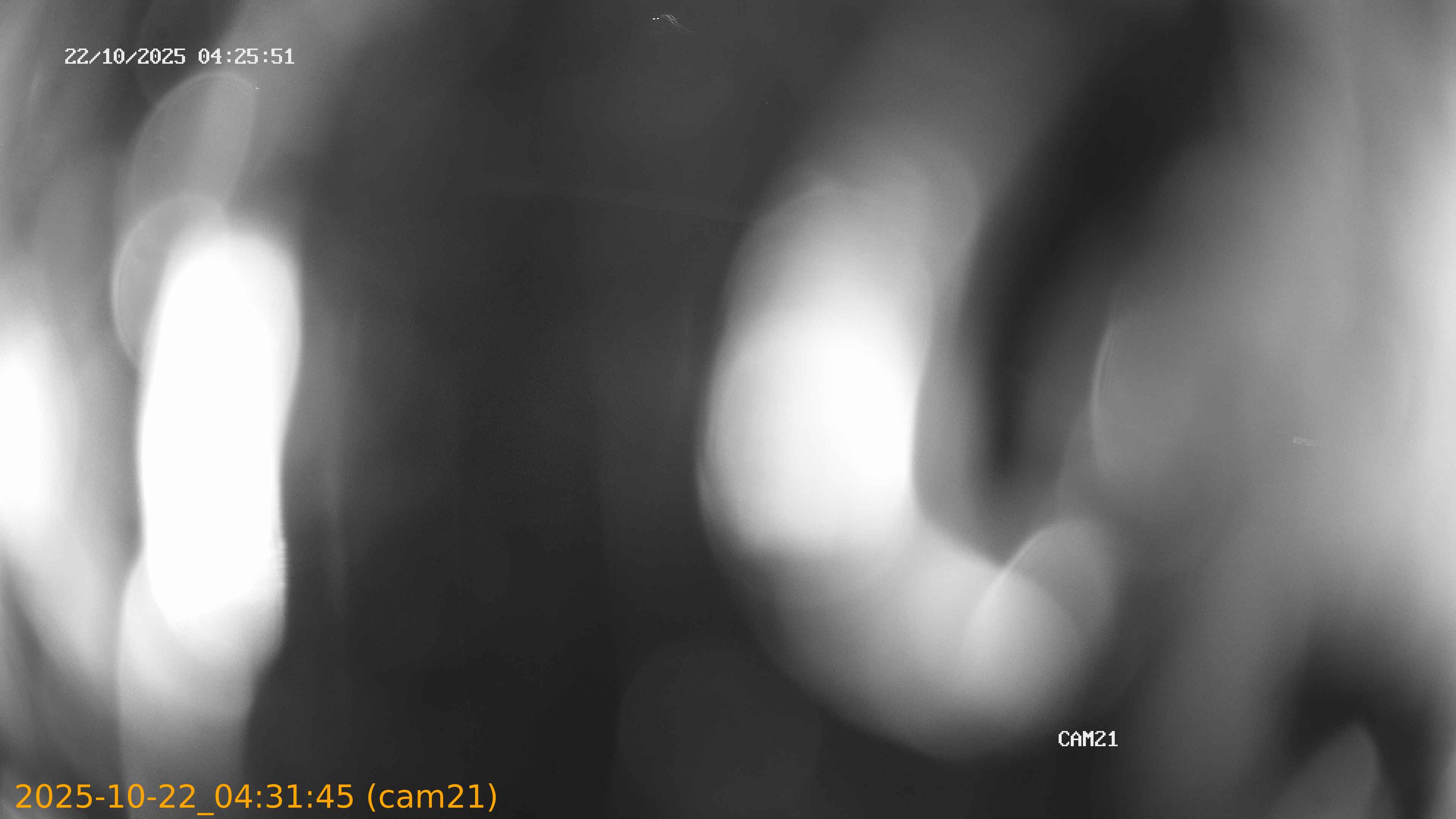 20251022043145