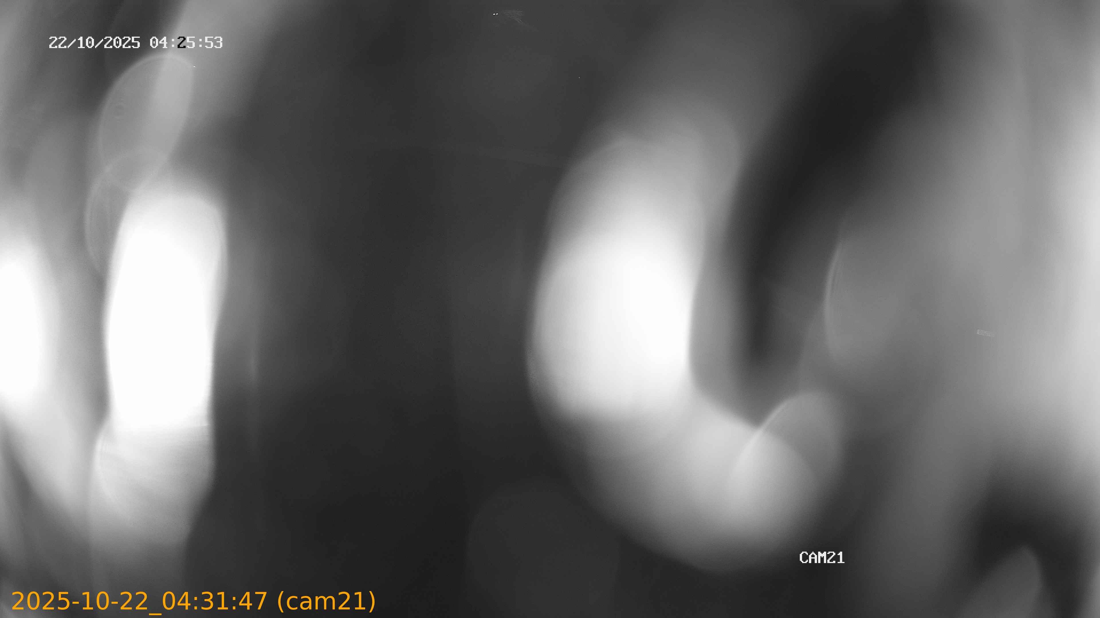 20251022043147