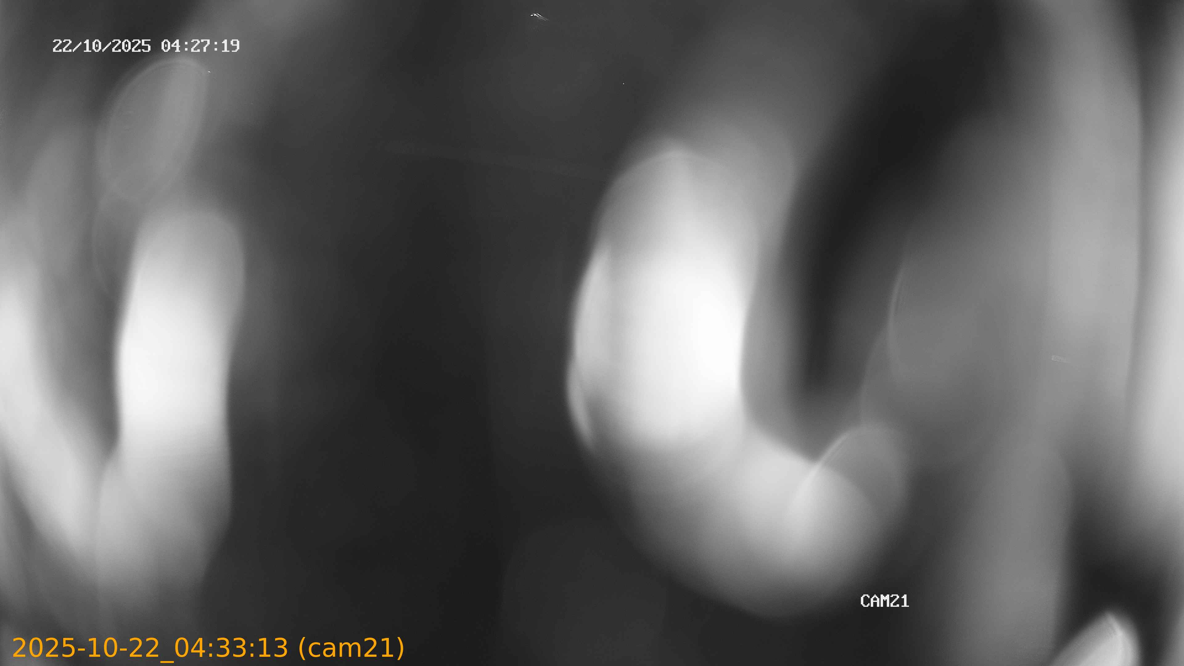 20251022043313