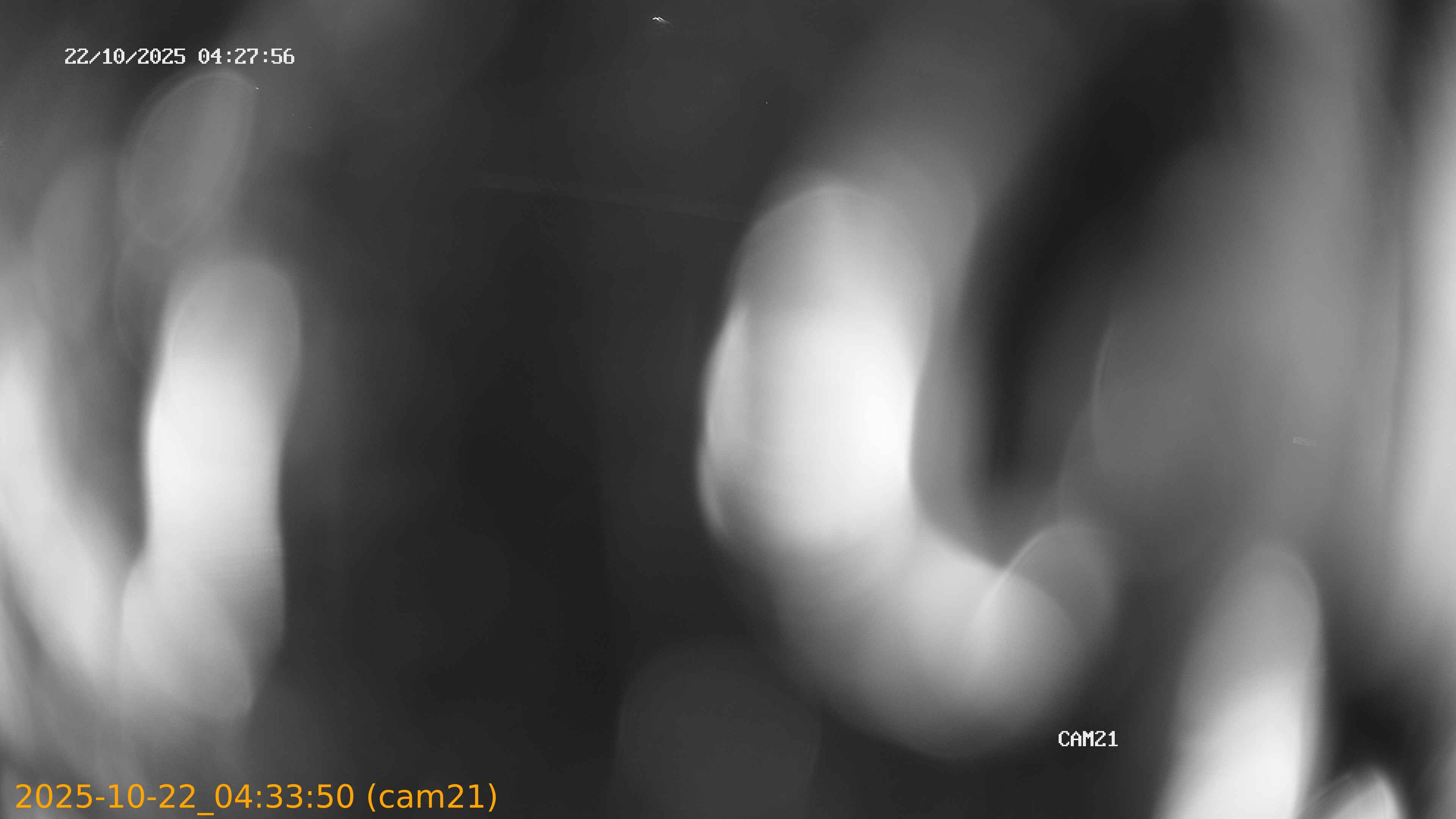 20251022043350