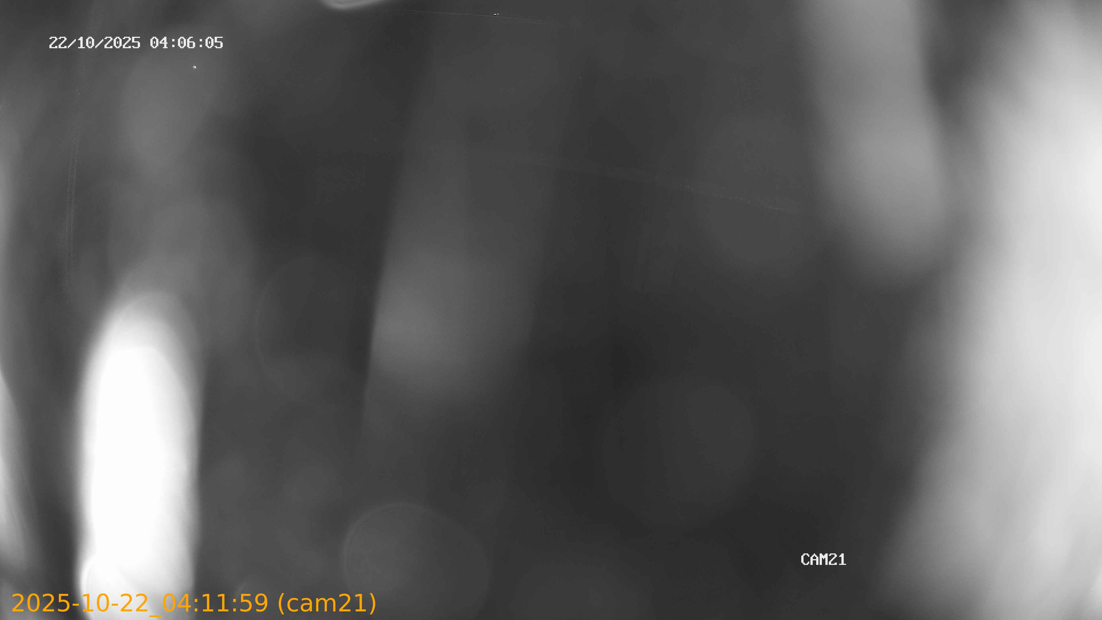 thumbnail_202510220411