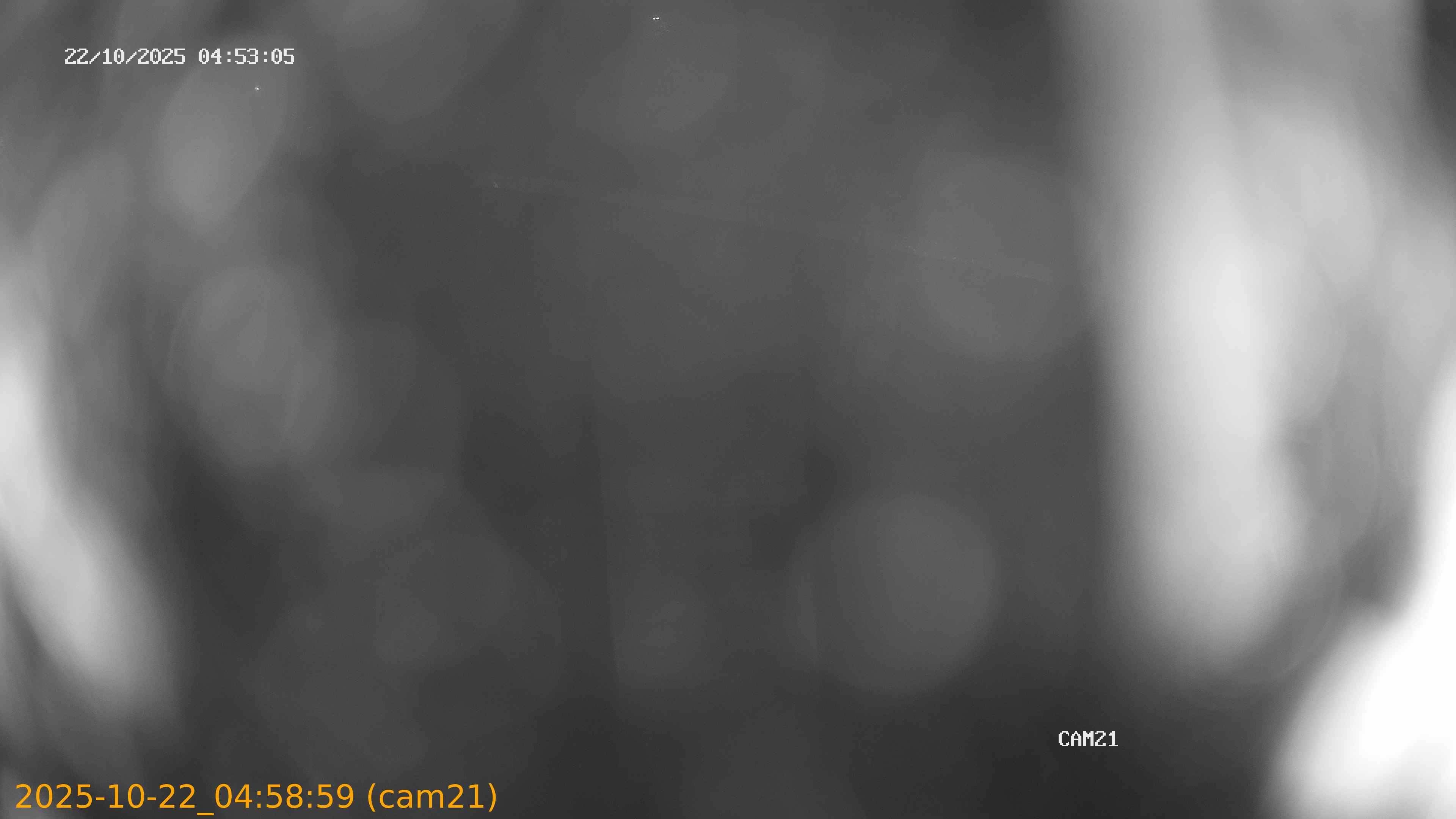 thumbnail_202510220458