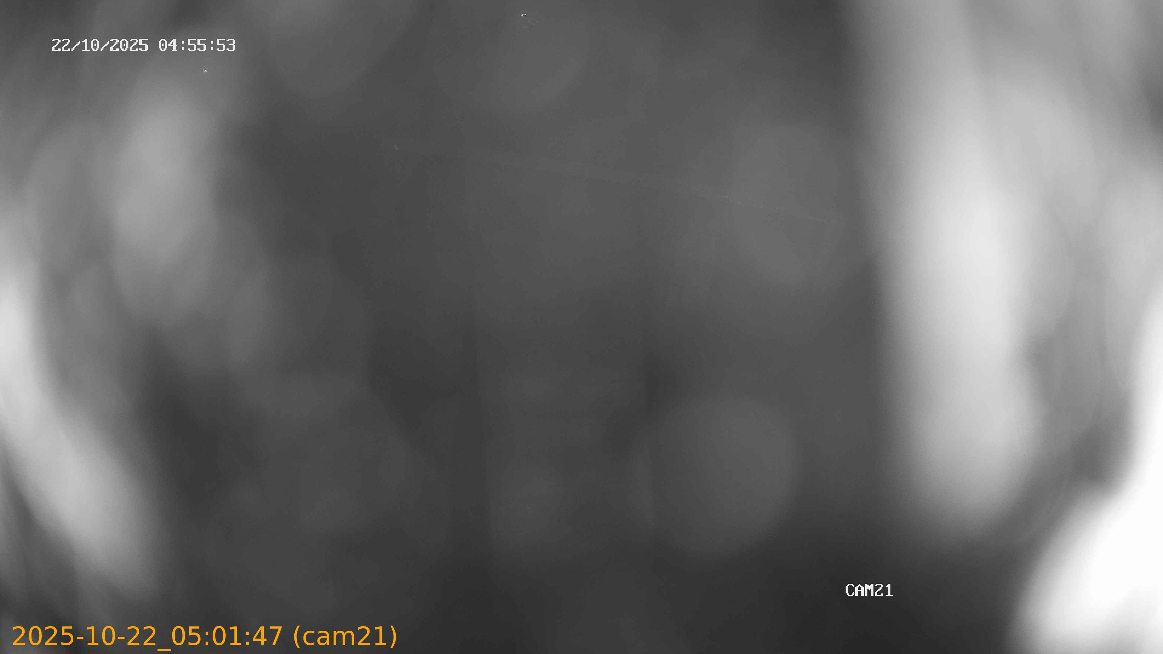 thumbnail_20251022050147