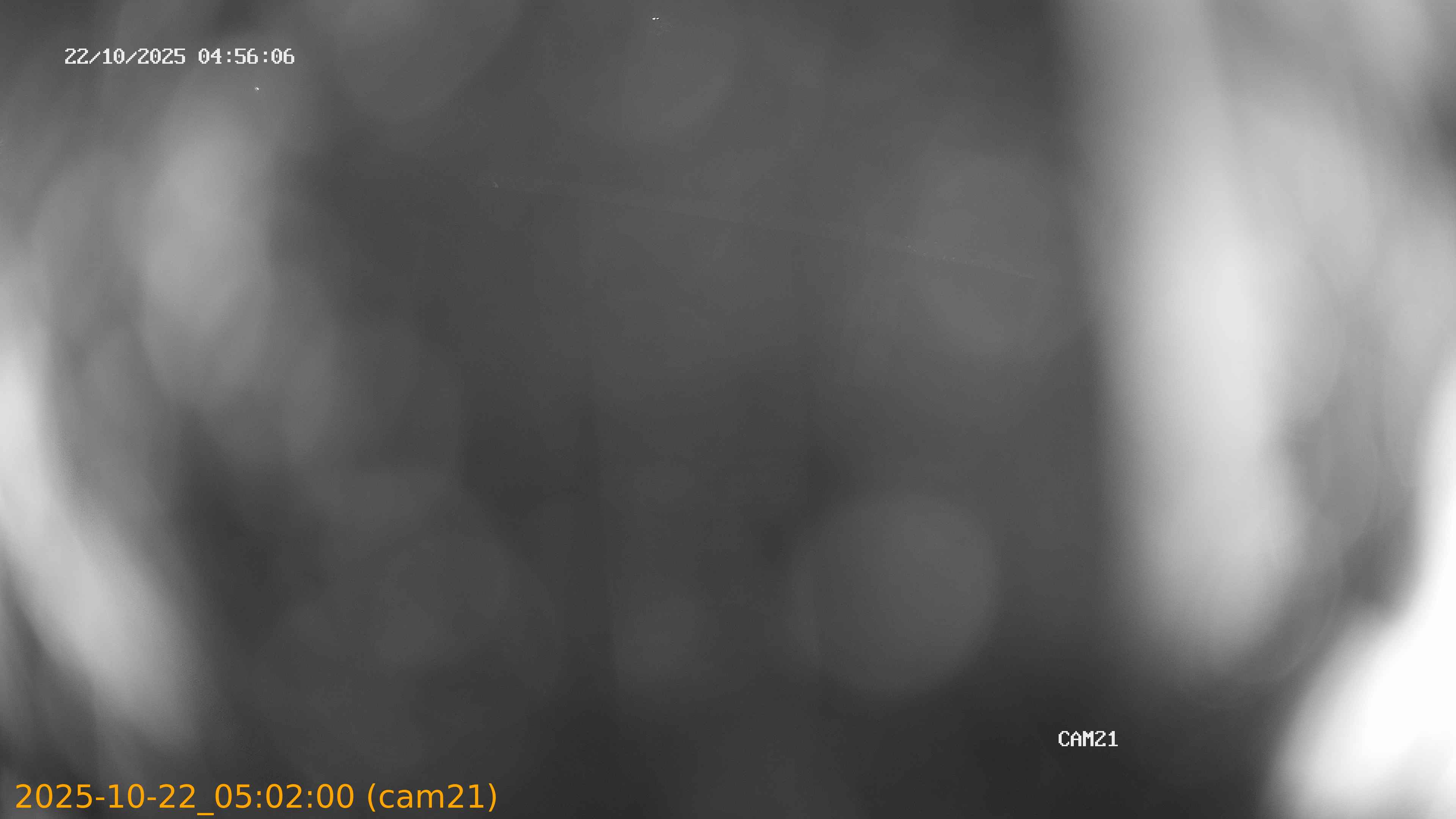 20251022050200