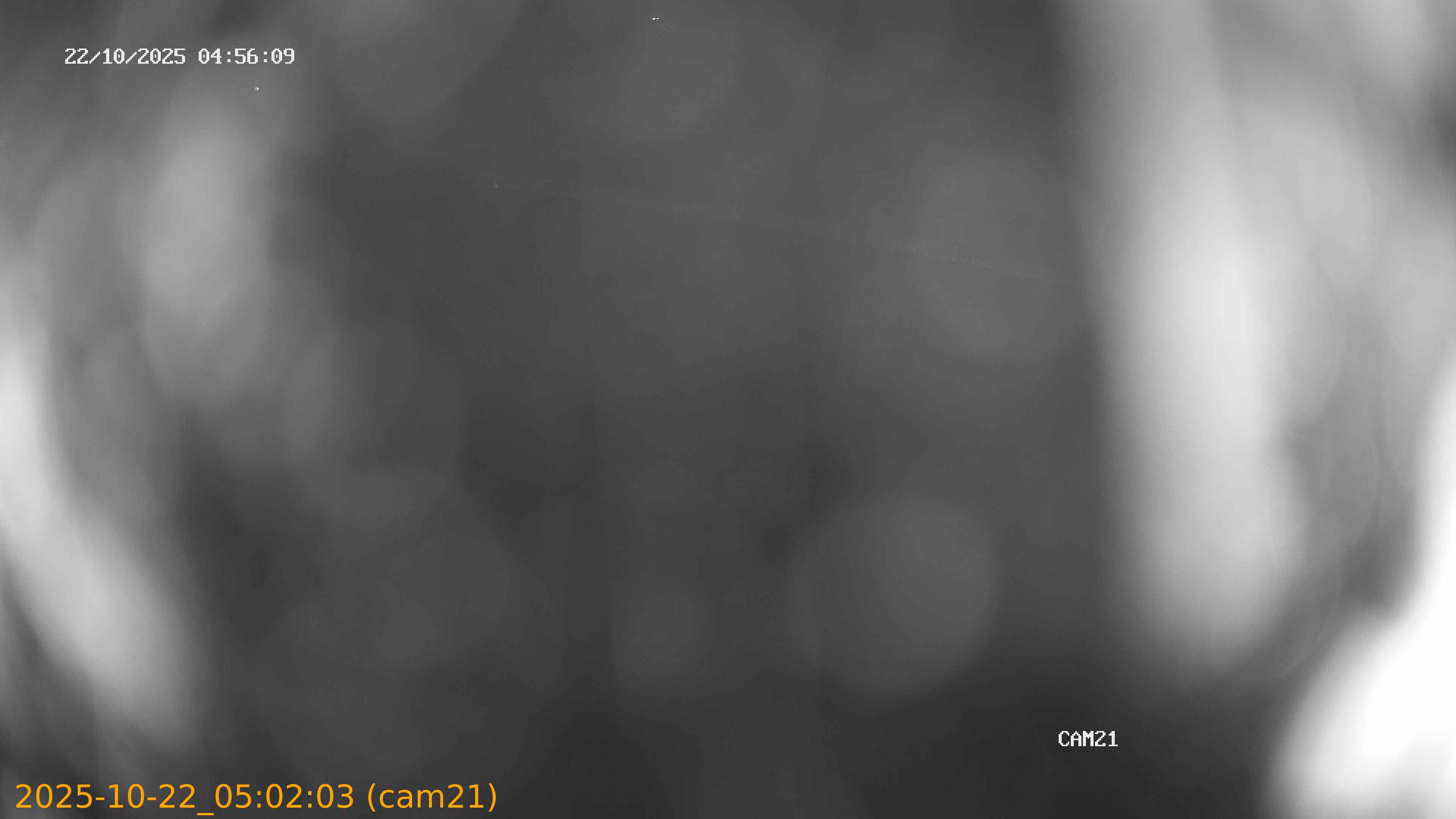 20251022050203