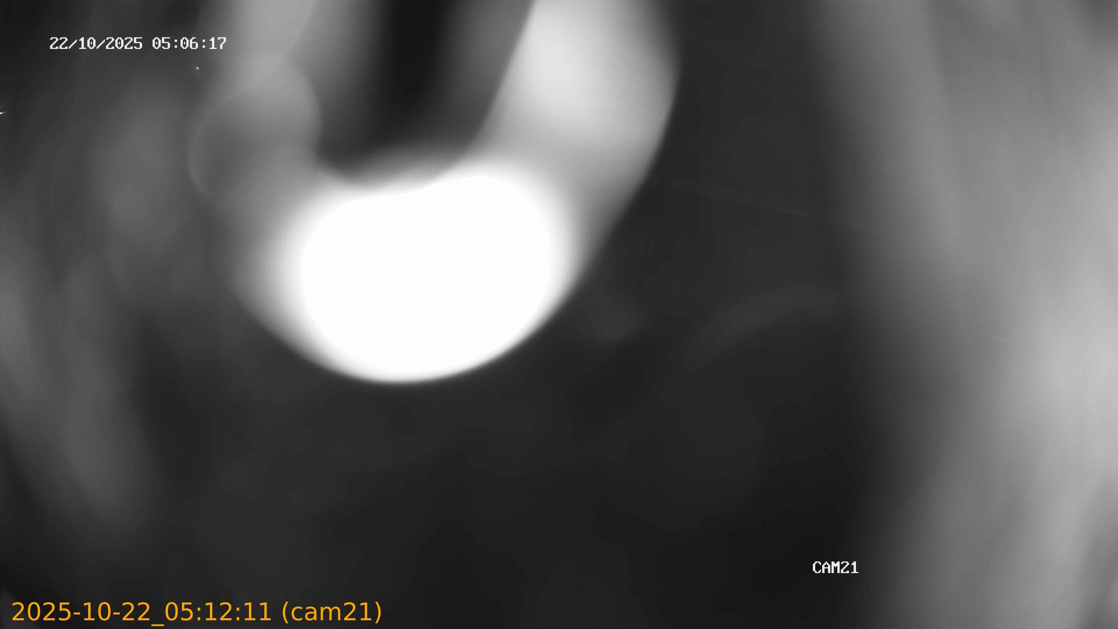 20251022051211