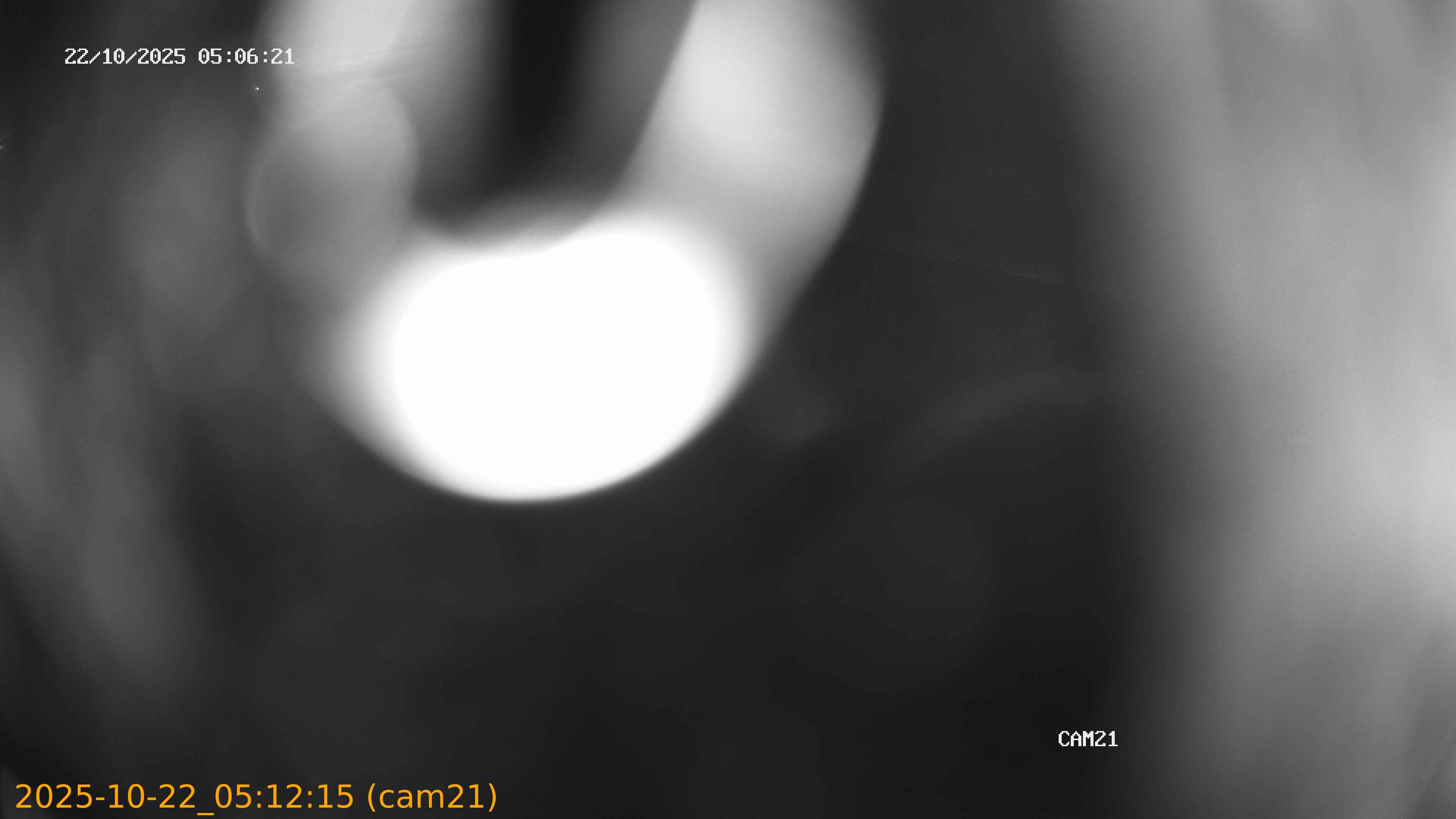 20251022051215