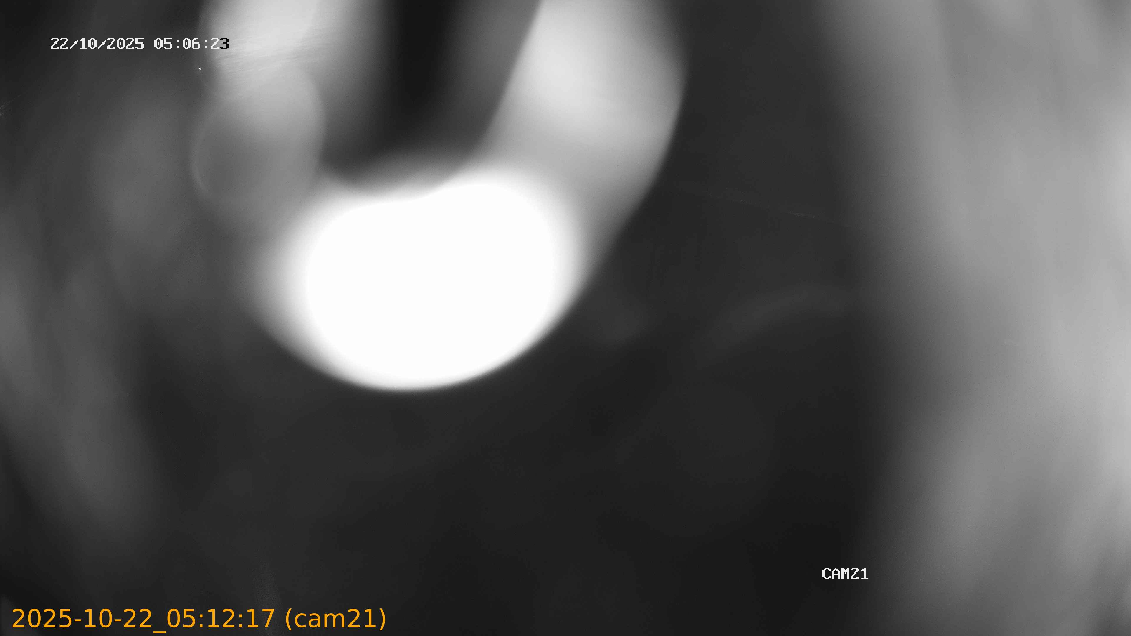 20251022051217