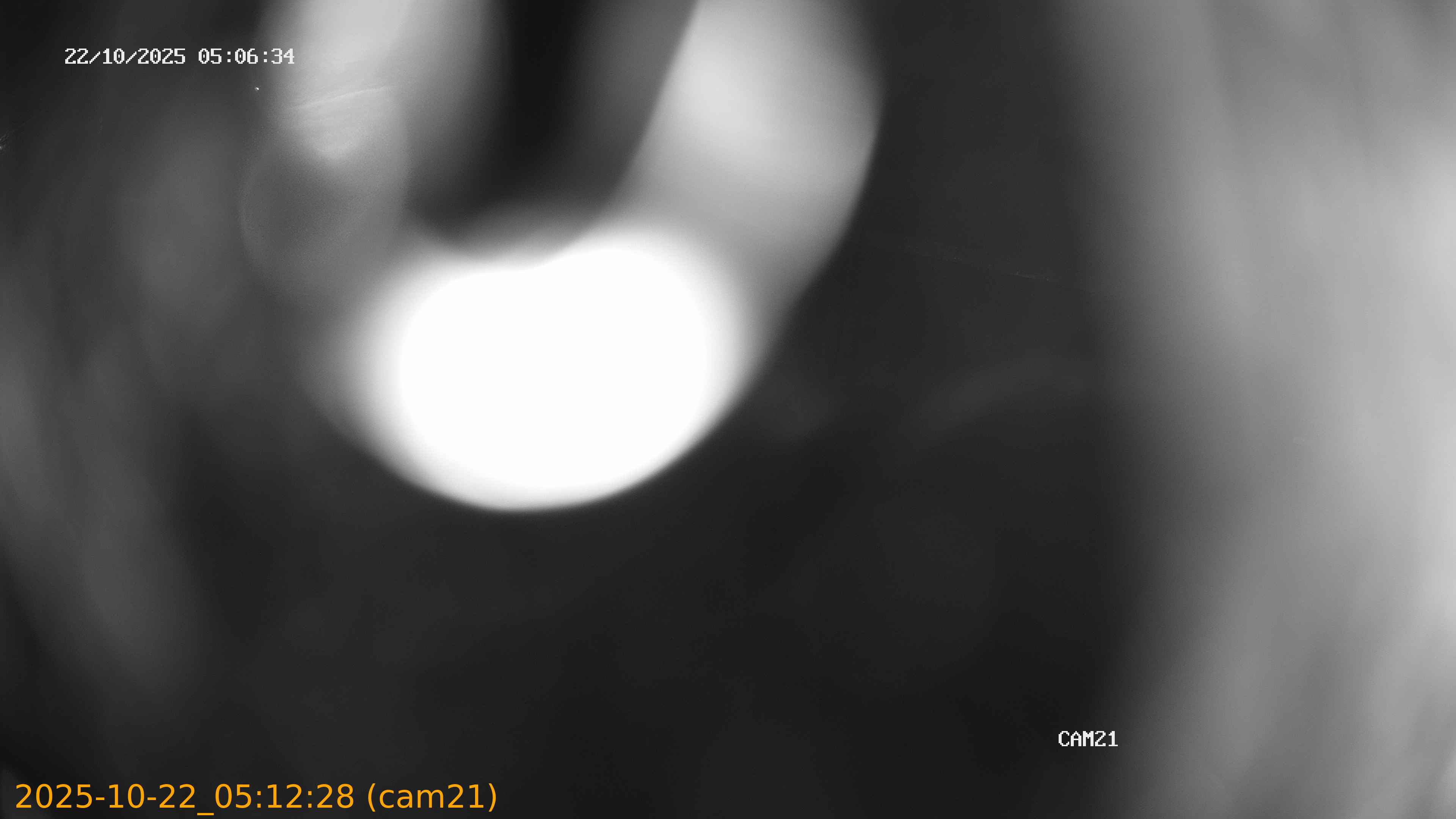 20251022051228