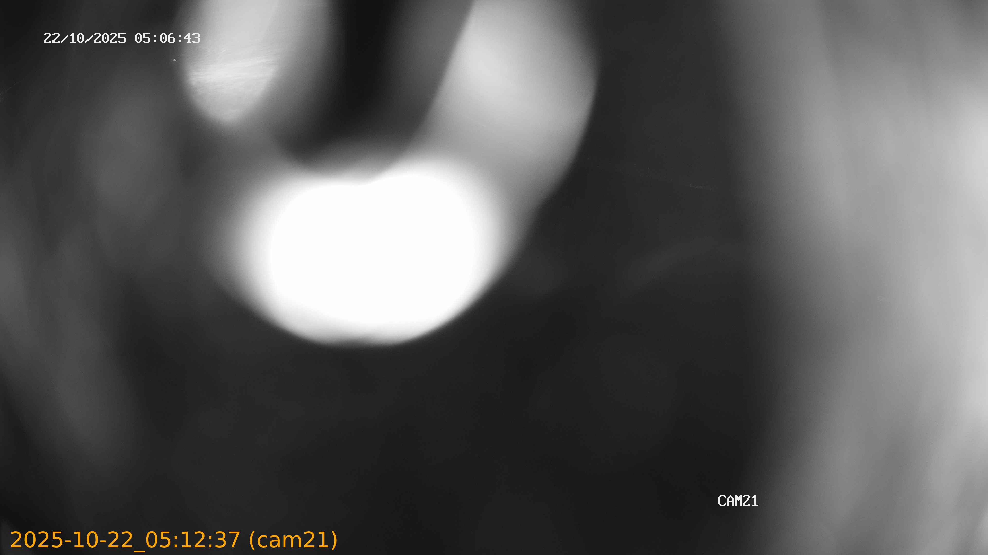 20251022051237