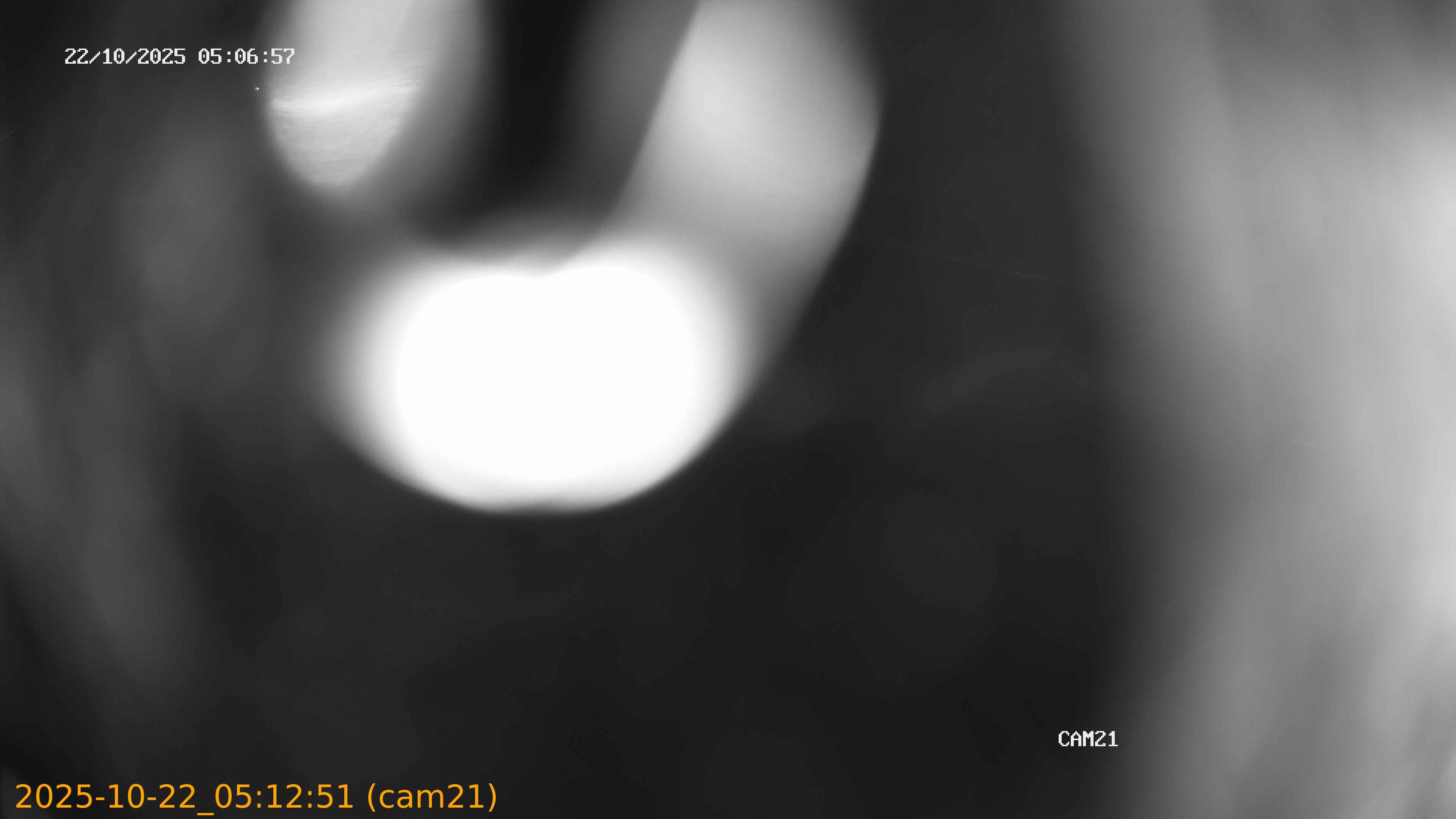 20251022051251