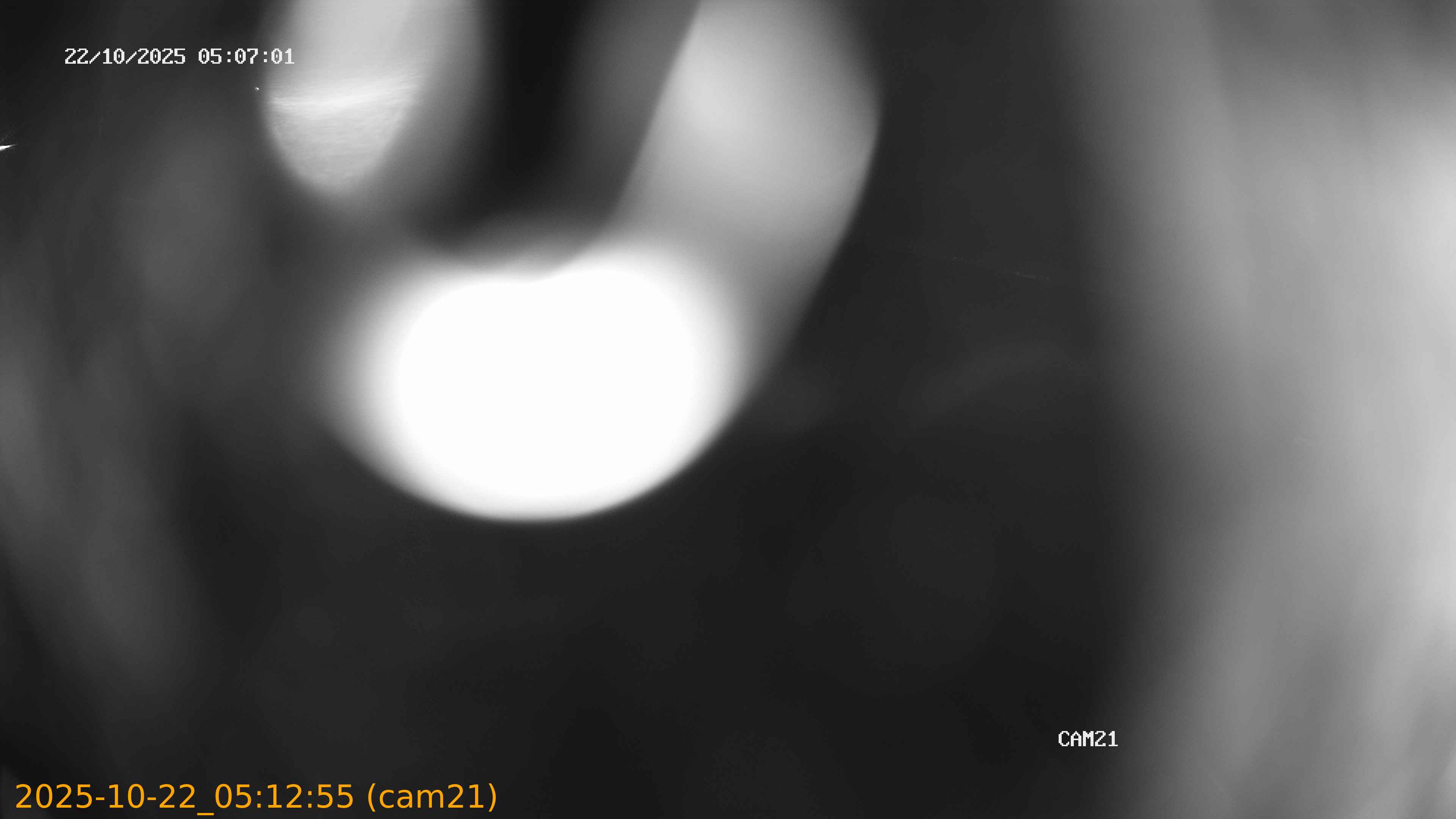 20251022051255