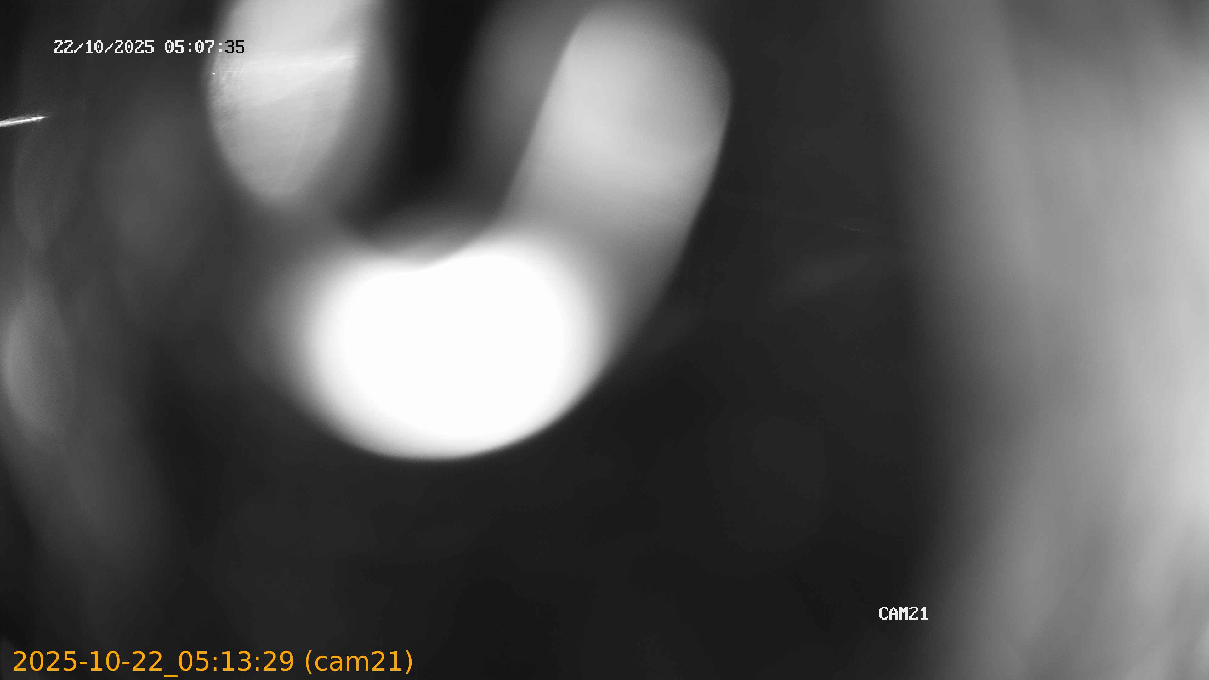 20251022051329