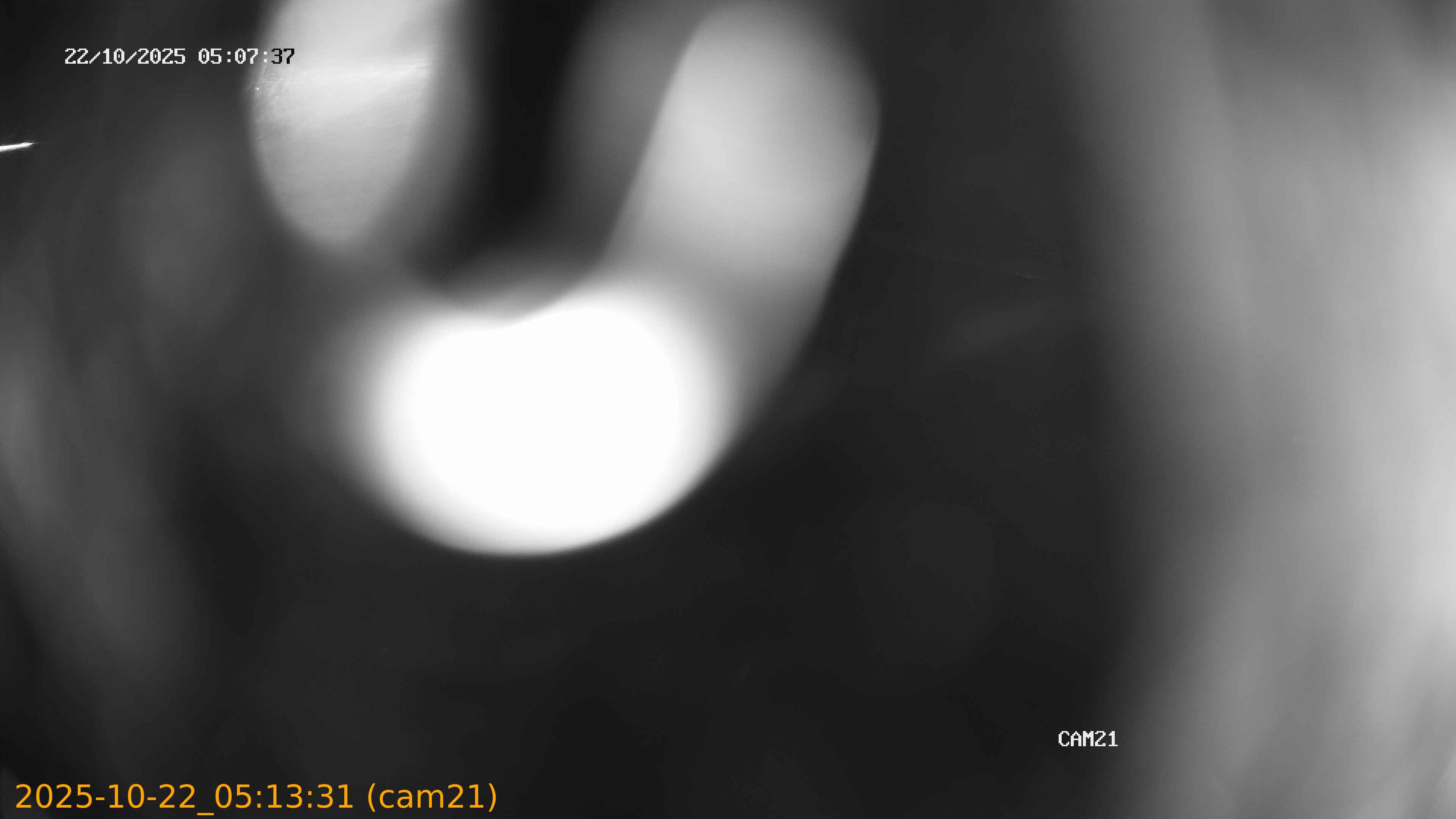 20251022051331