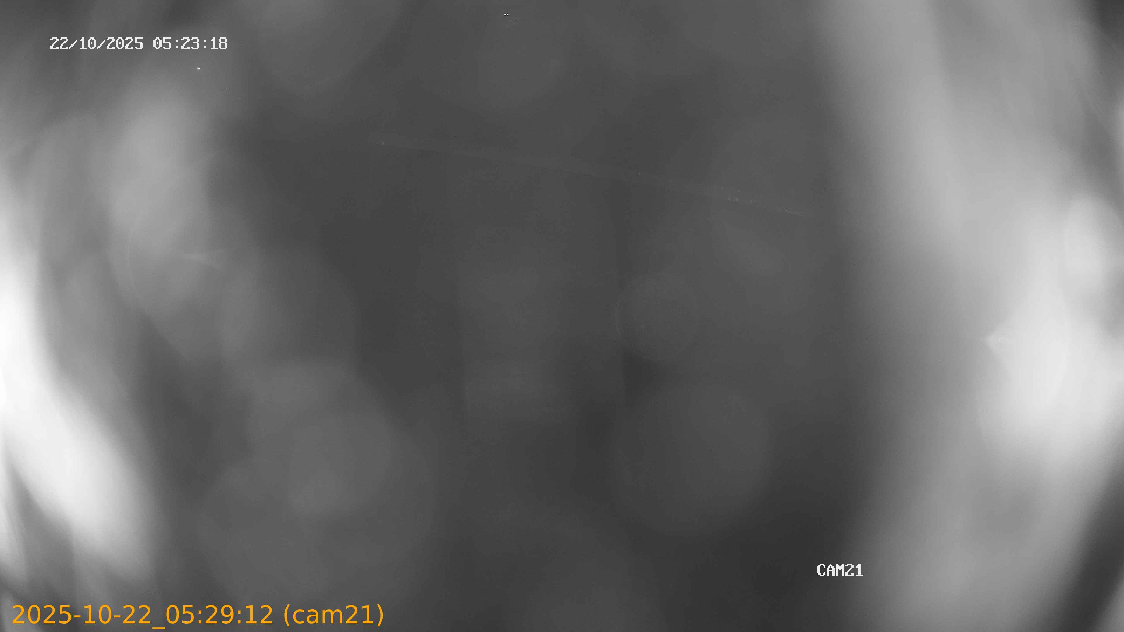 20251022052912