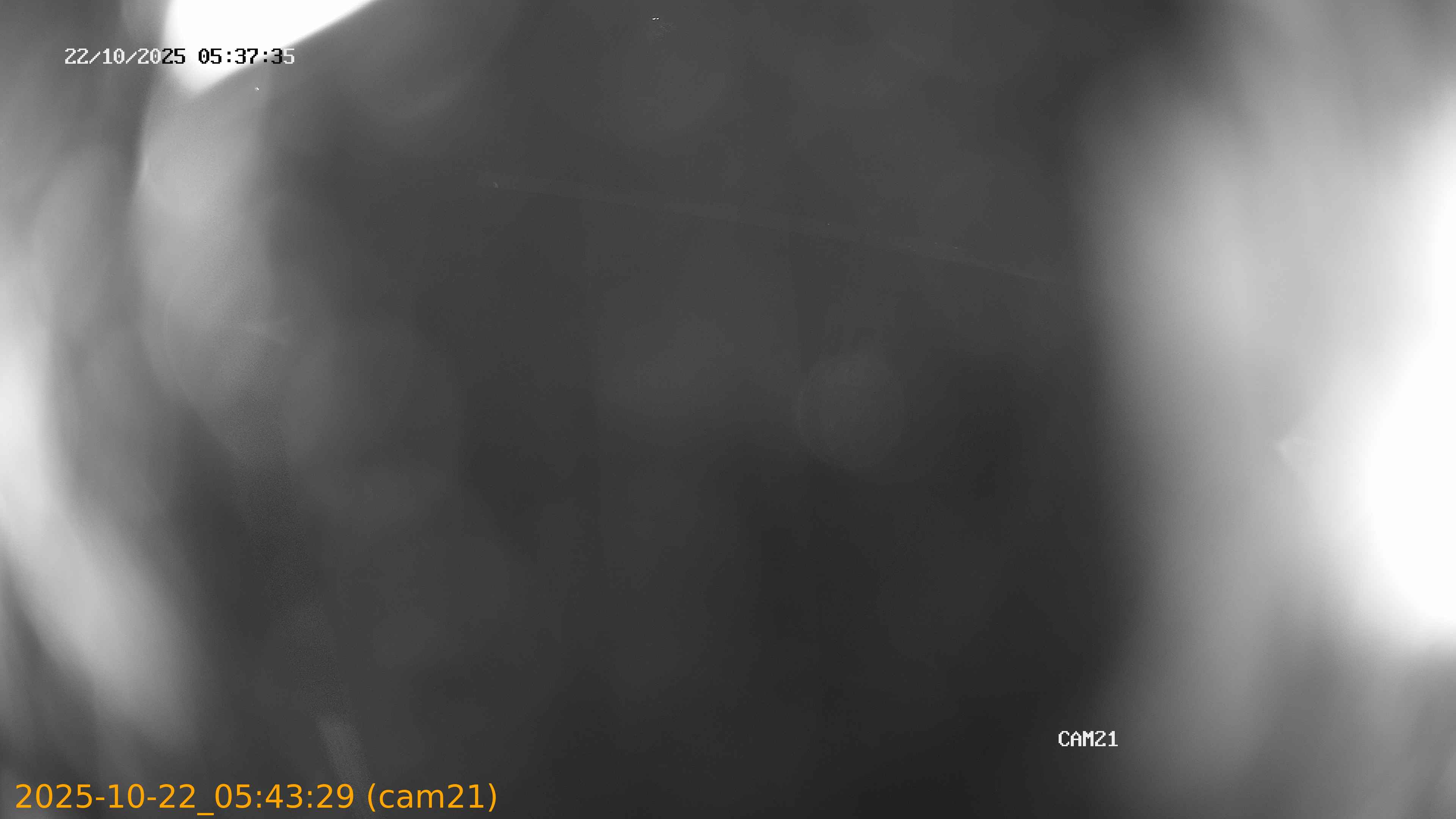 20251022054329