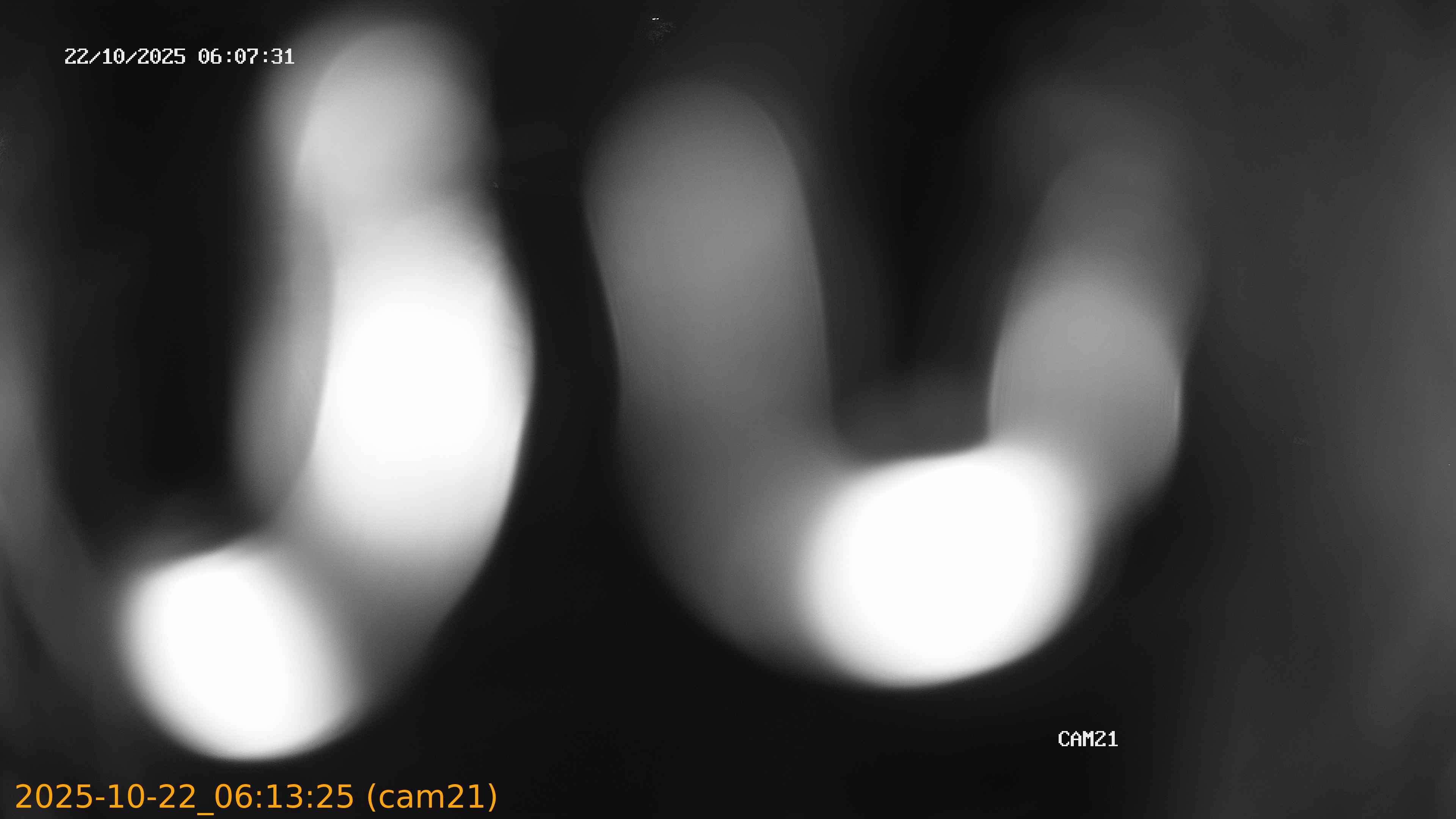 20251022061325