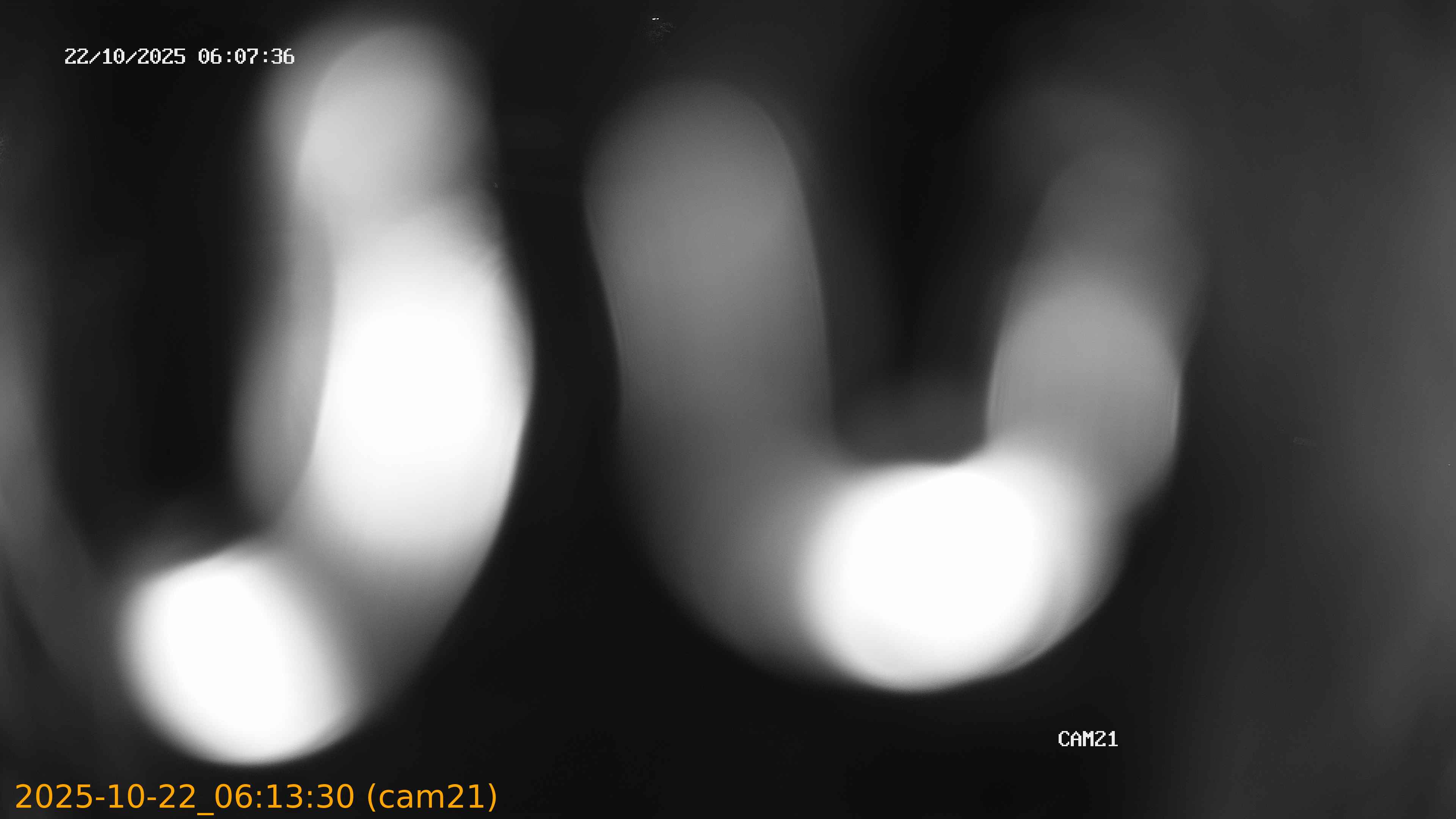 20251022061330