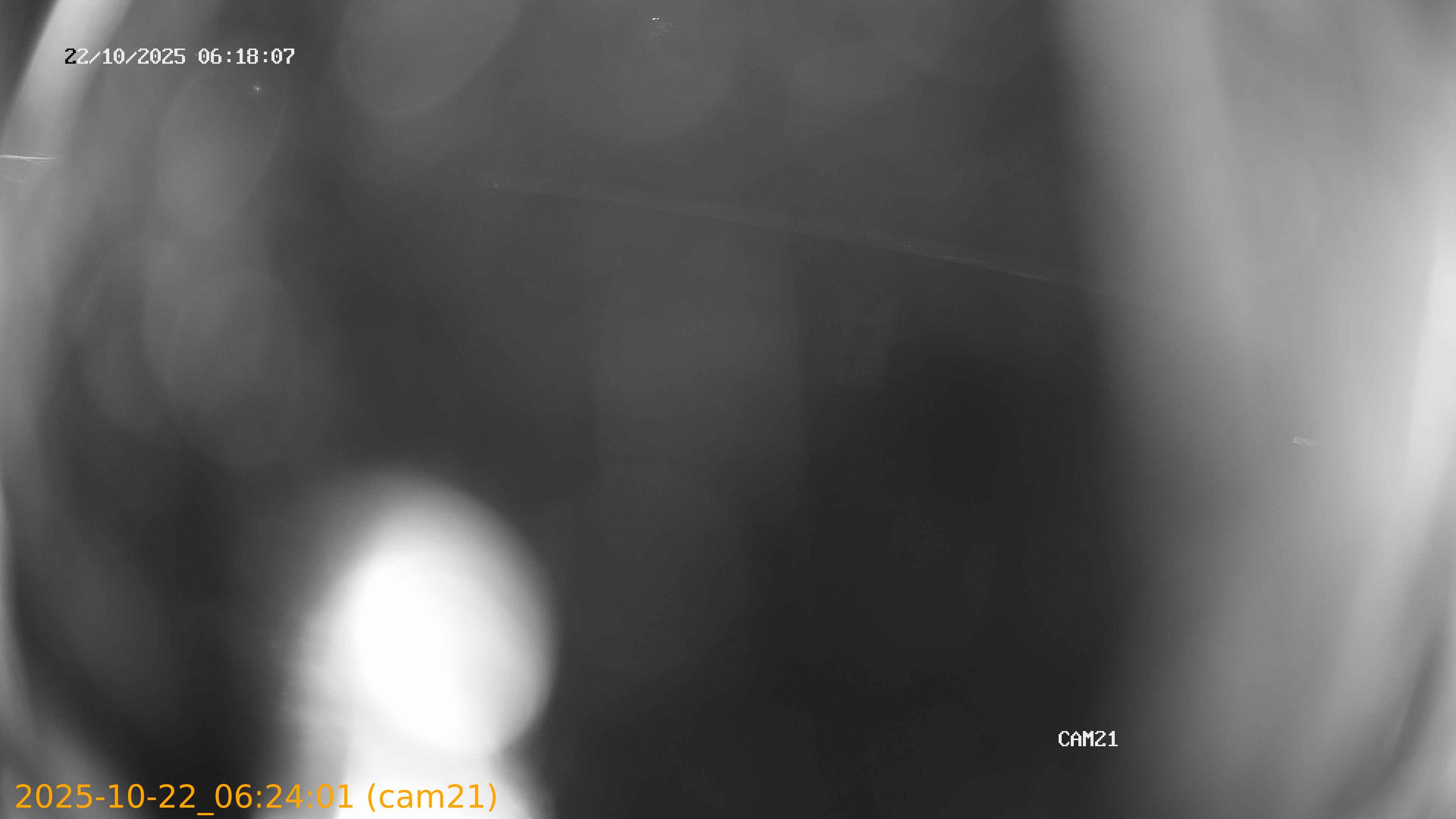 20251022062401
