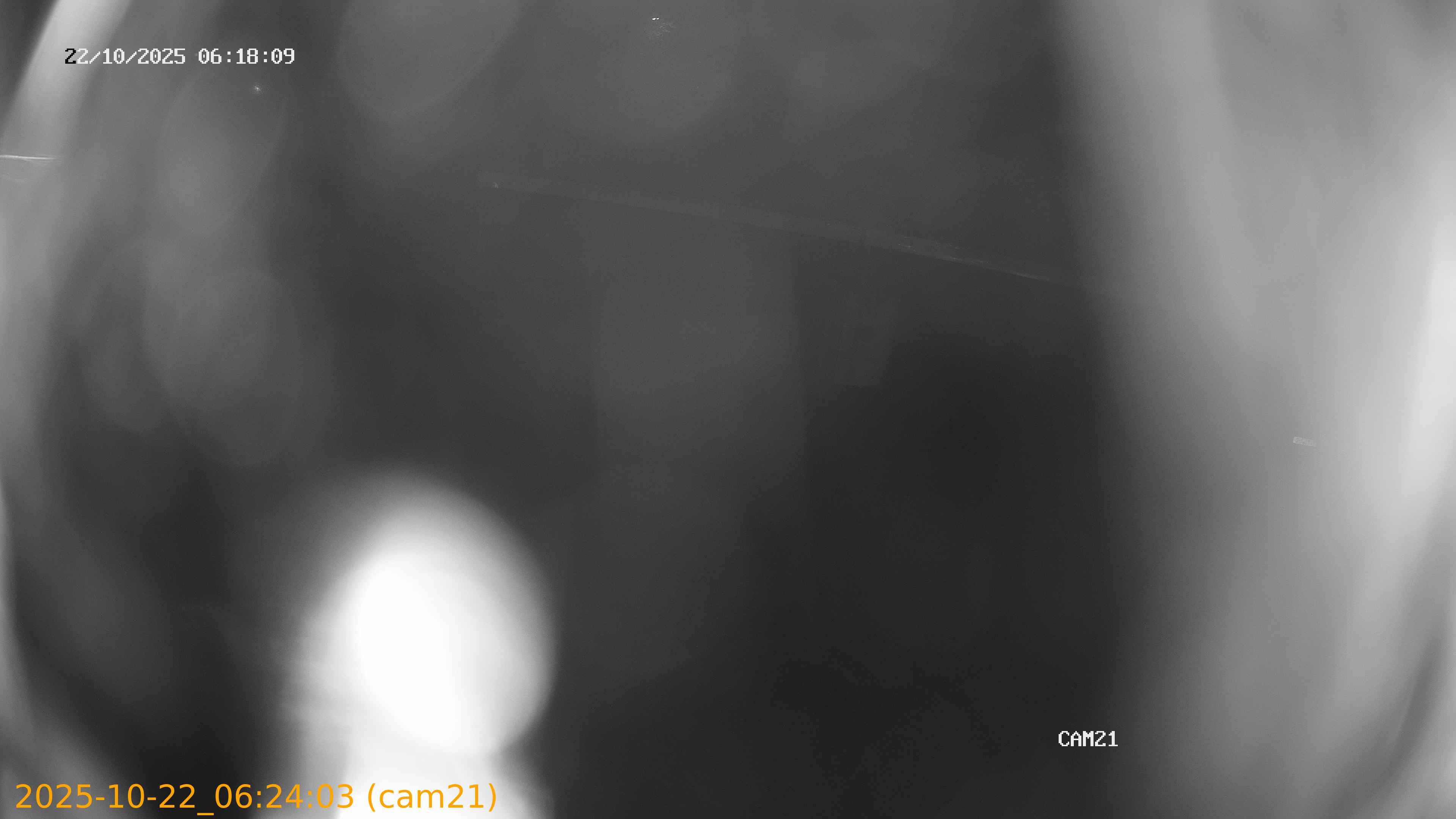 20251022062403