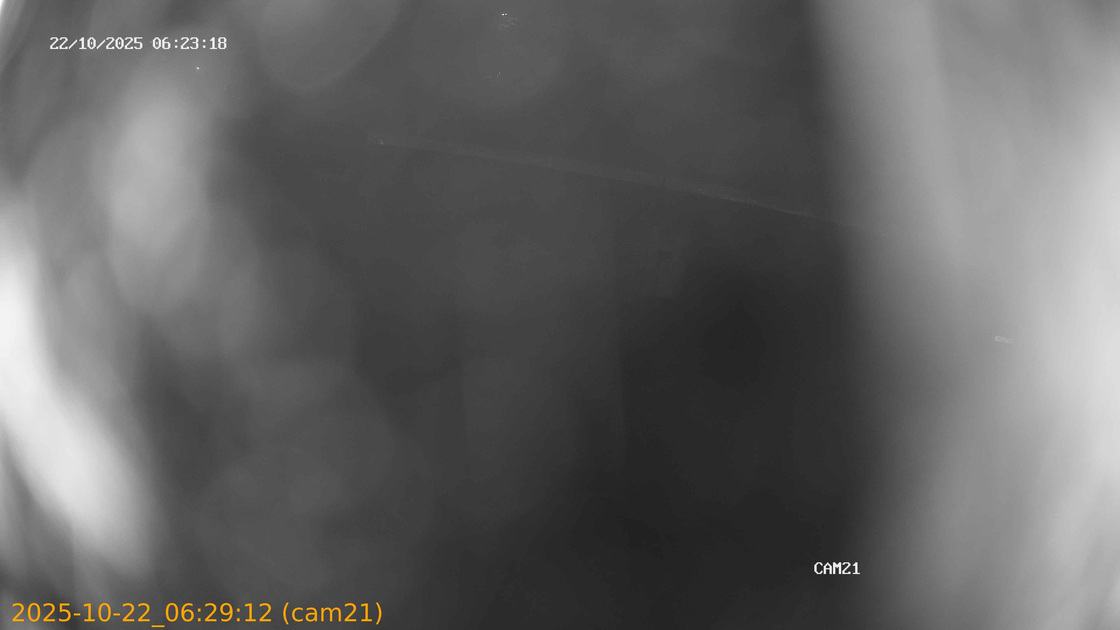 20251022062912