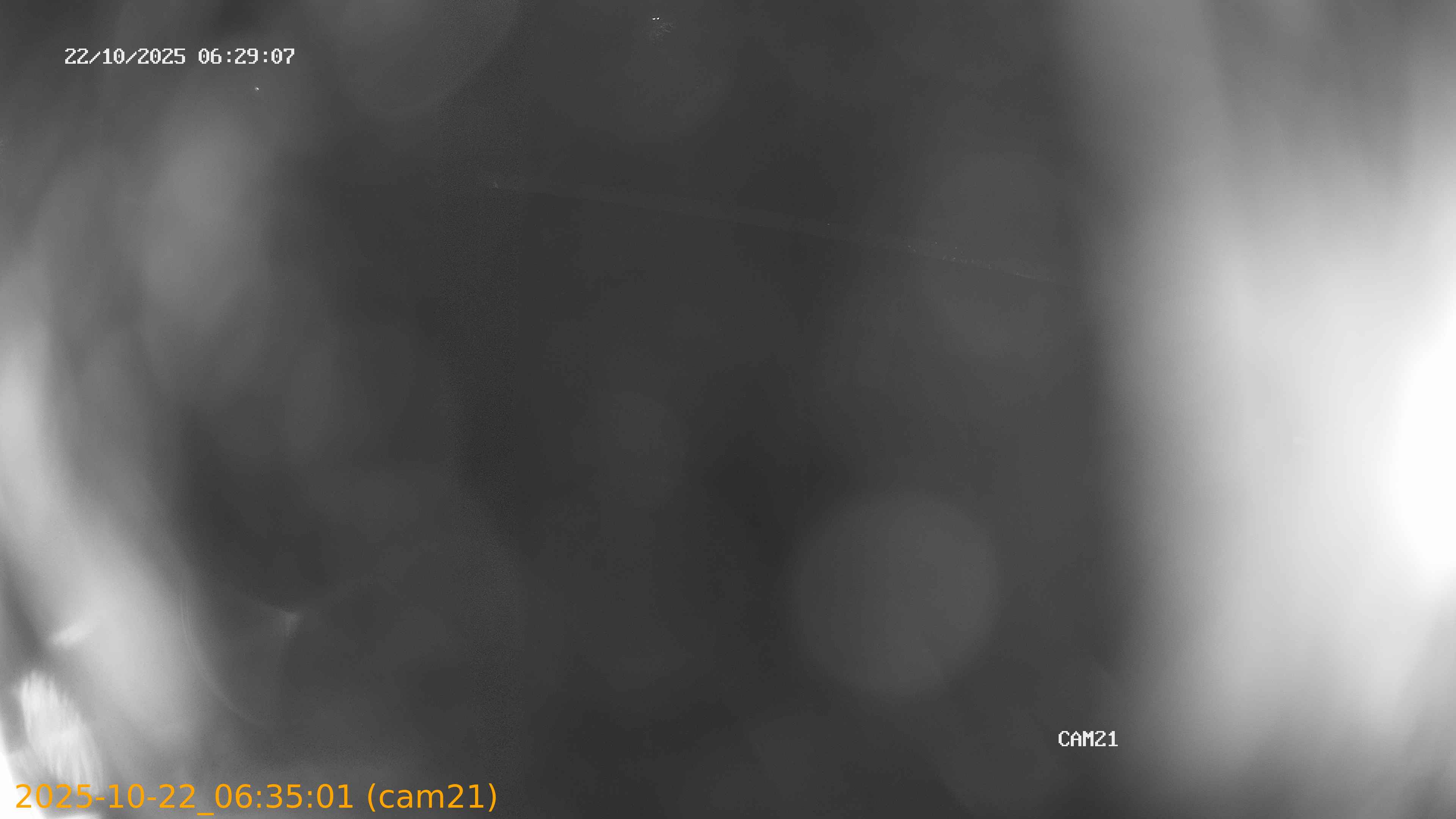 20251022063501
