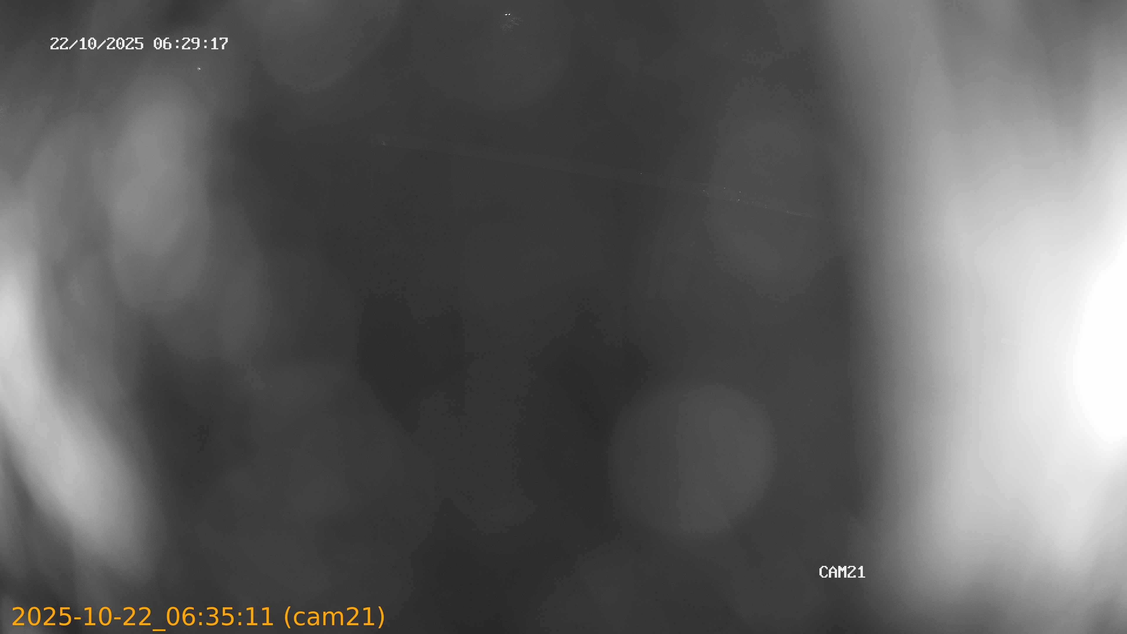 20251022063511
