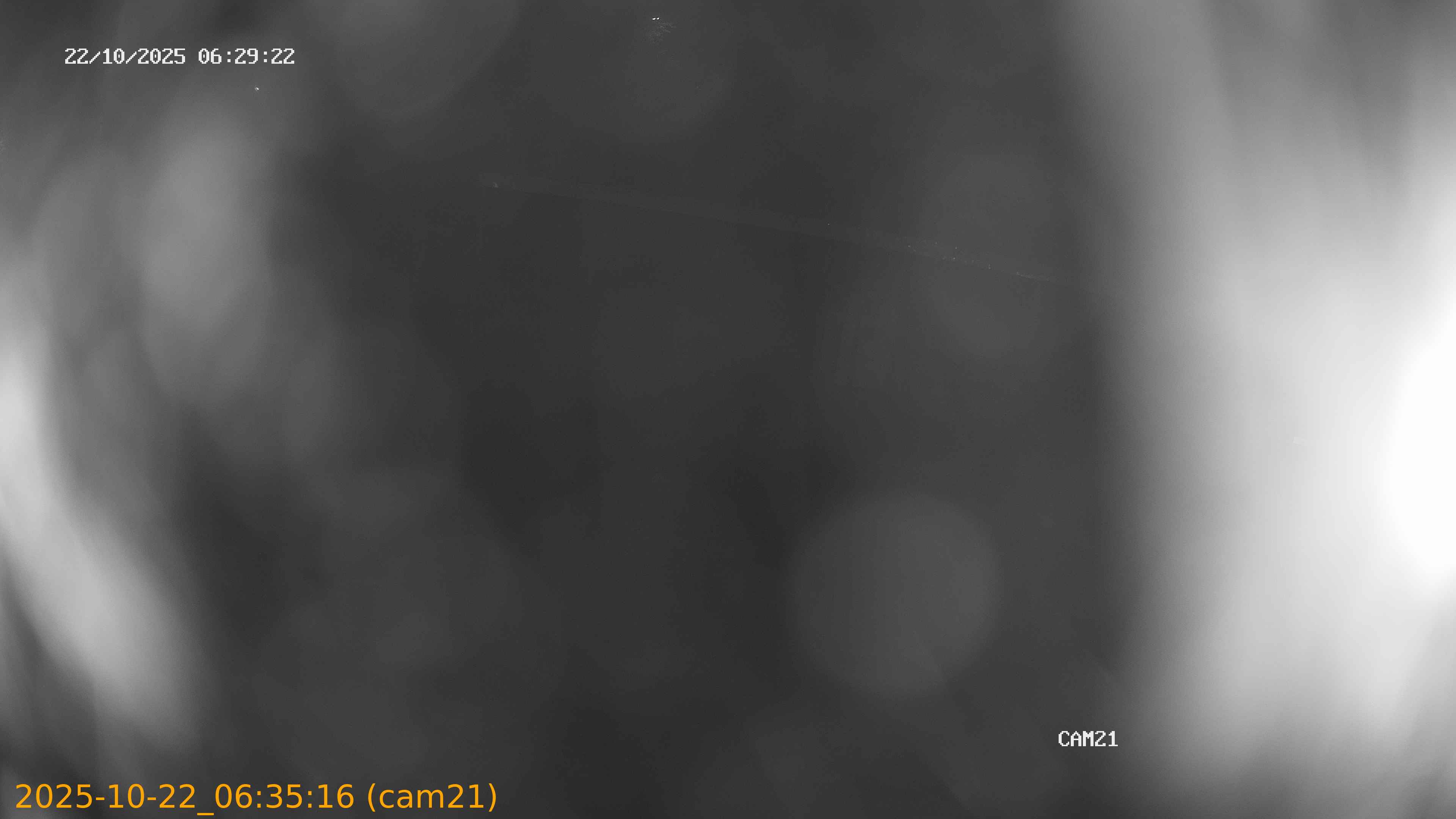20251022063516