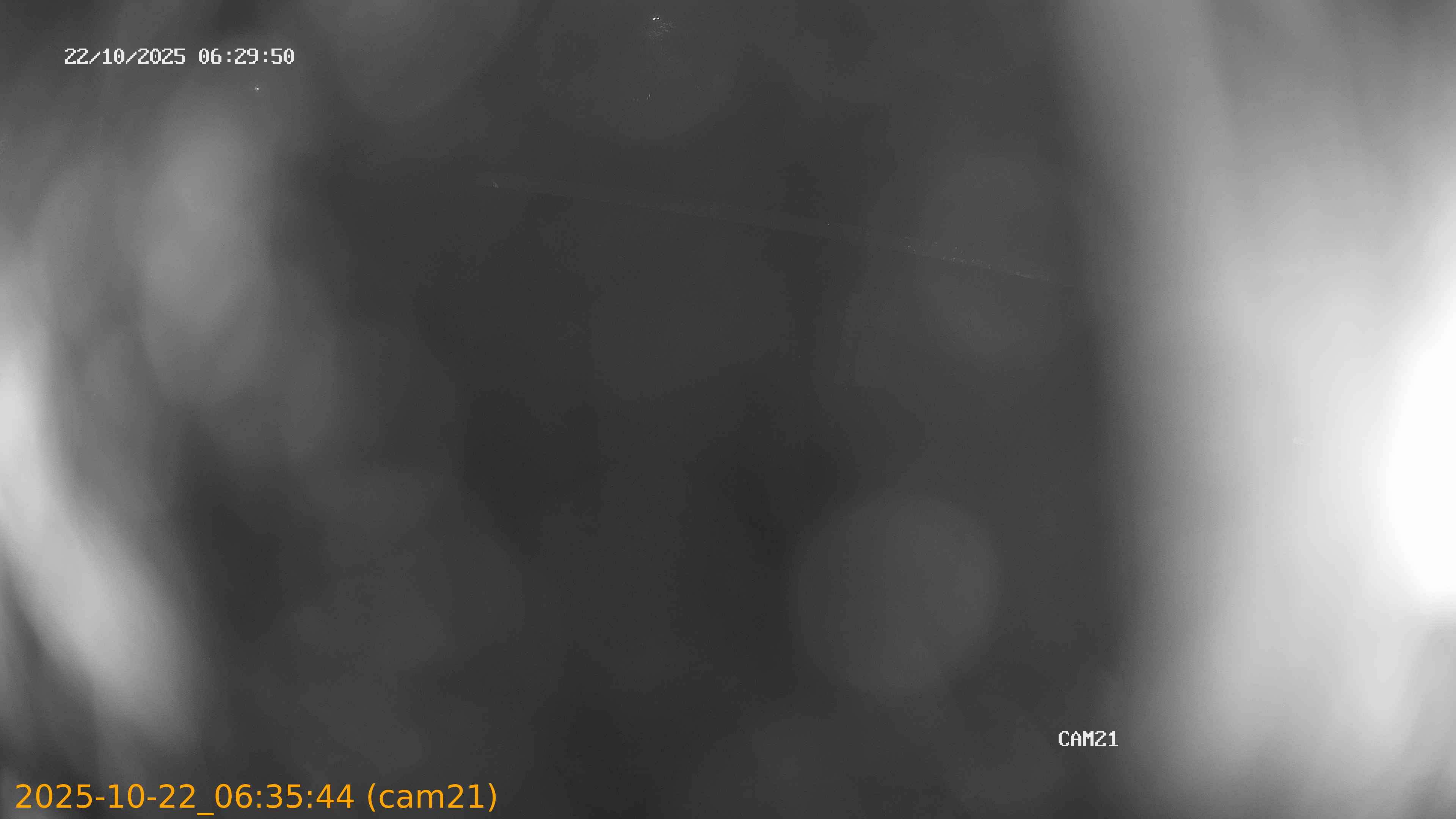 20251022063544