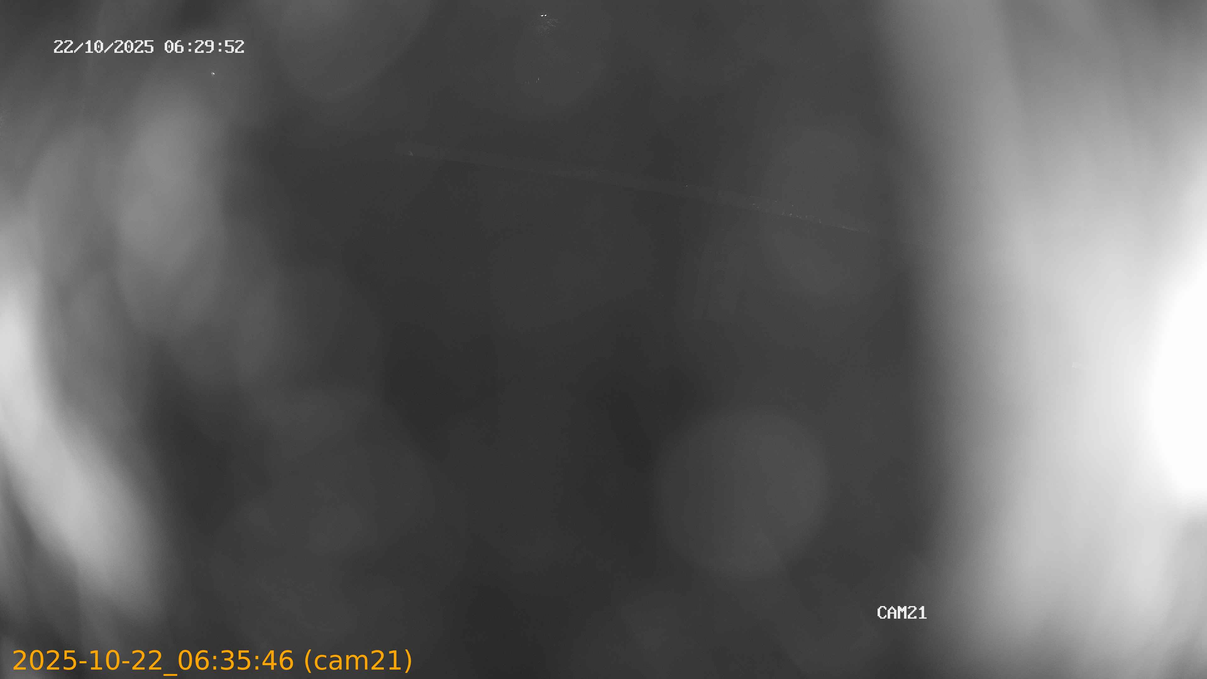 20251022063546