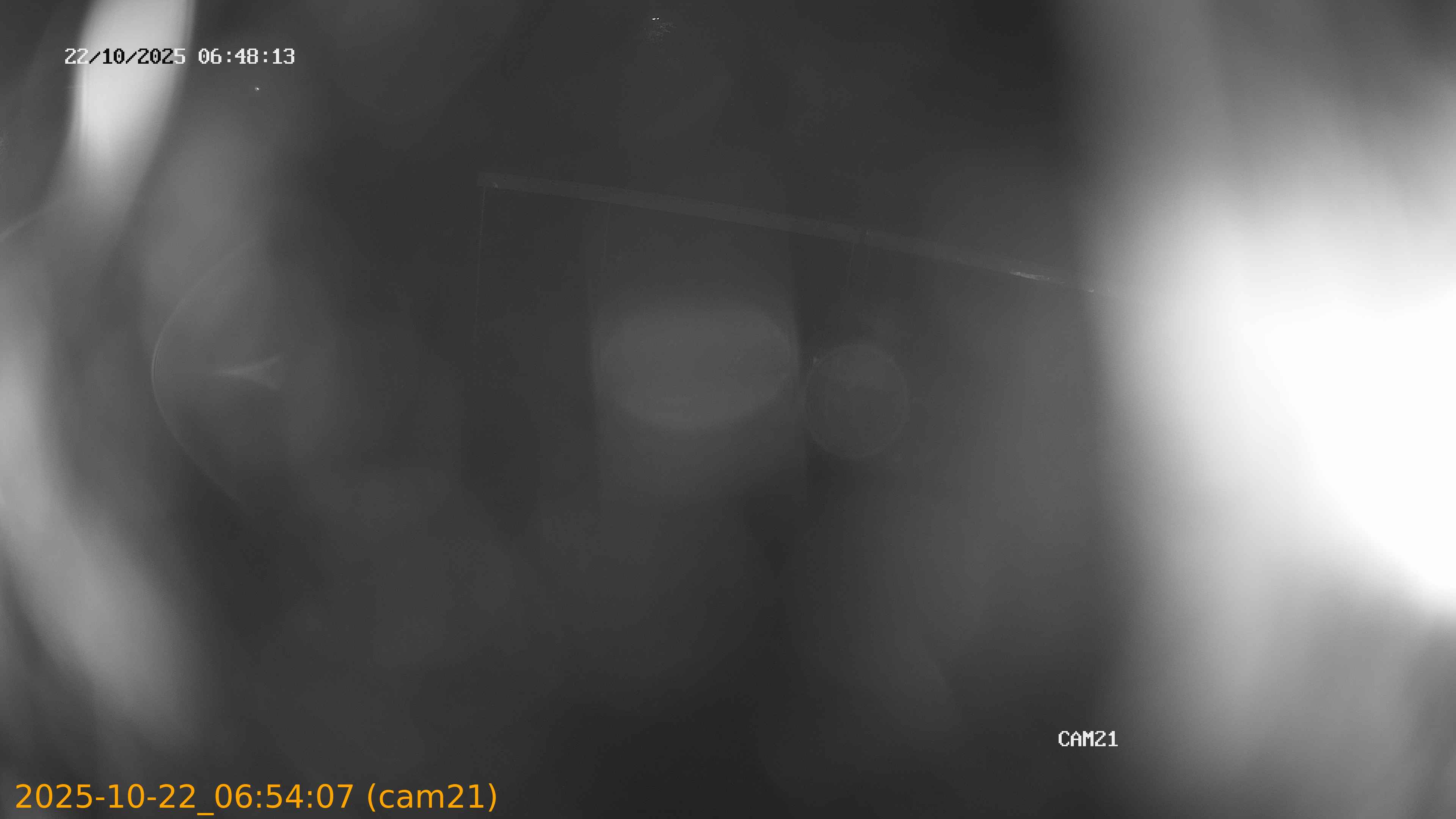 20251022065407