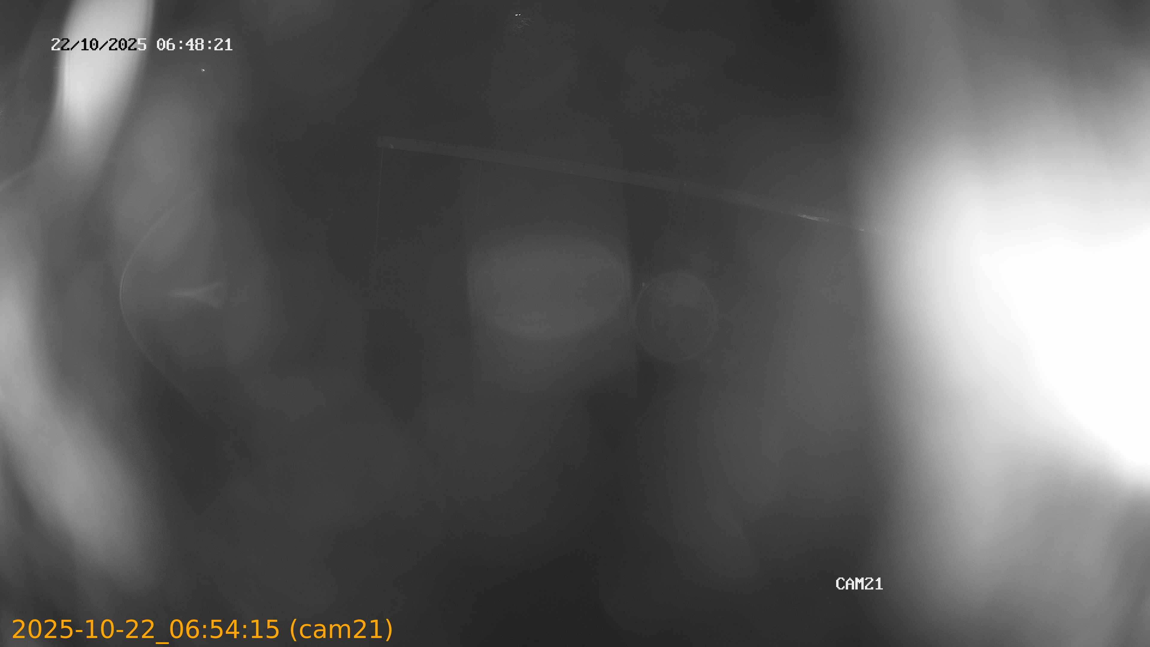 20251022065415