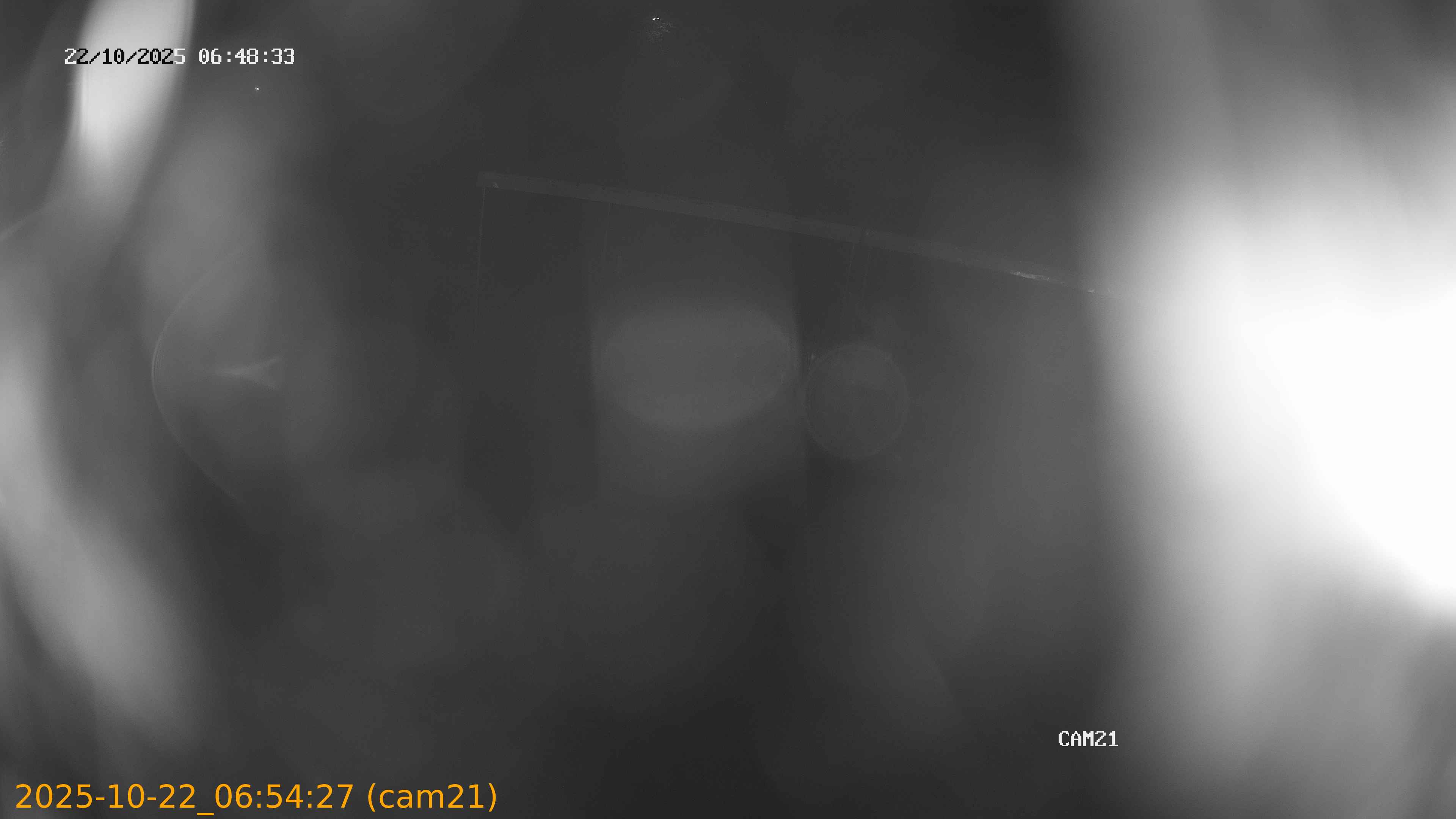 20251022065427