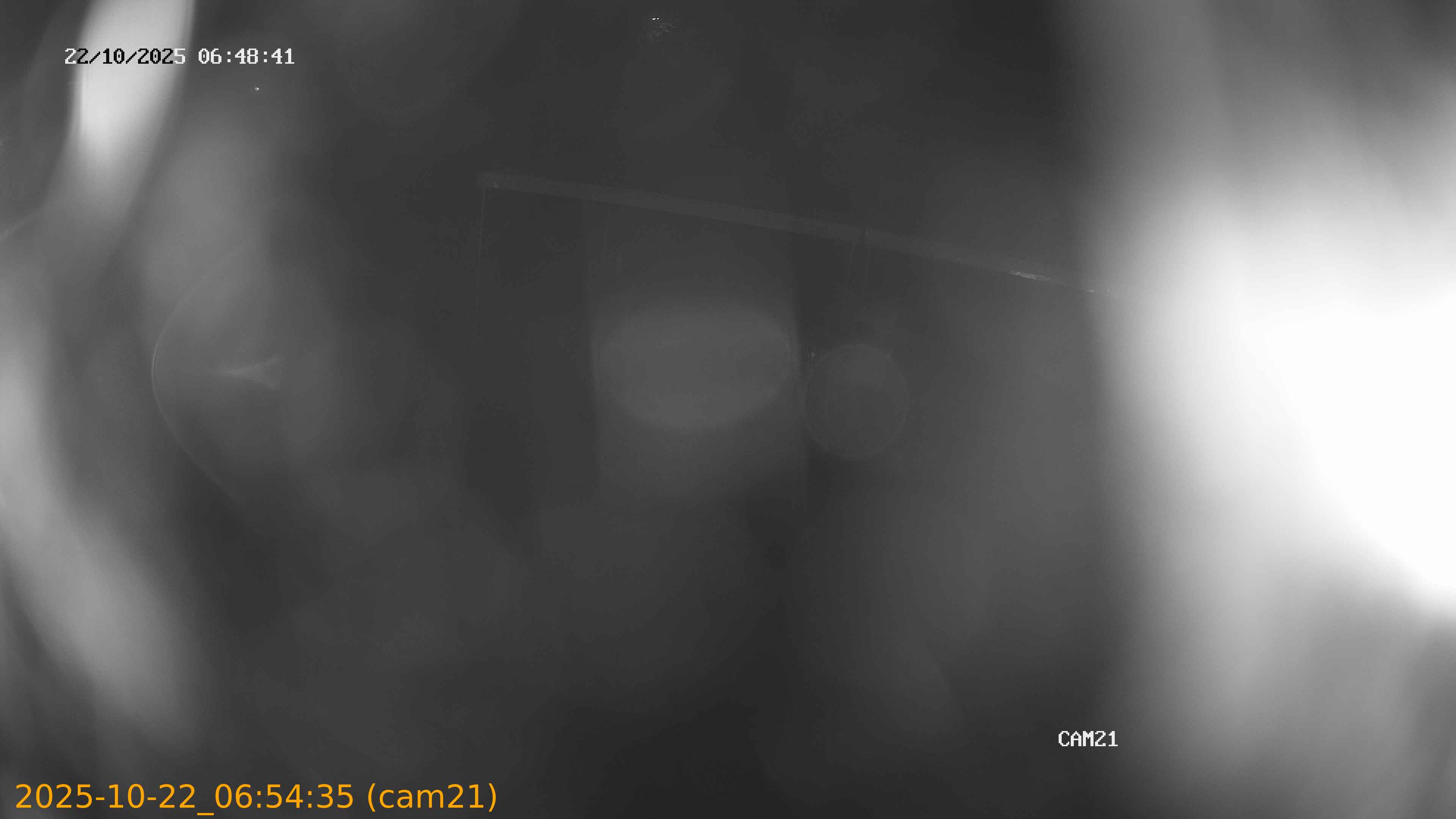 20251022065435