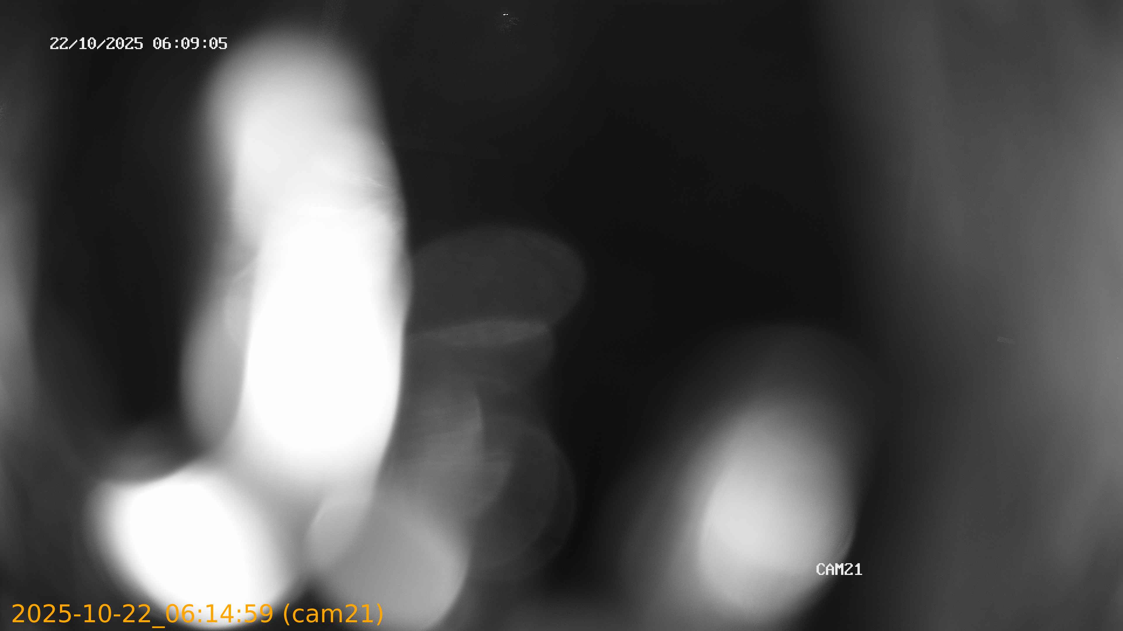 thumbnail_202510220614