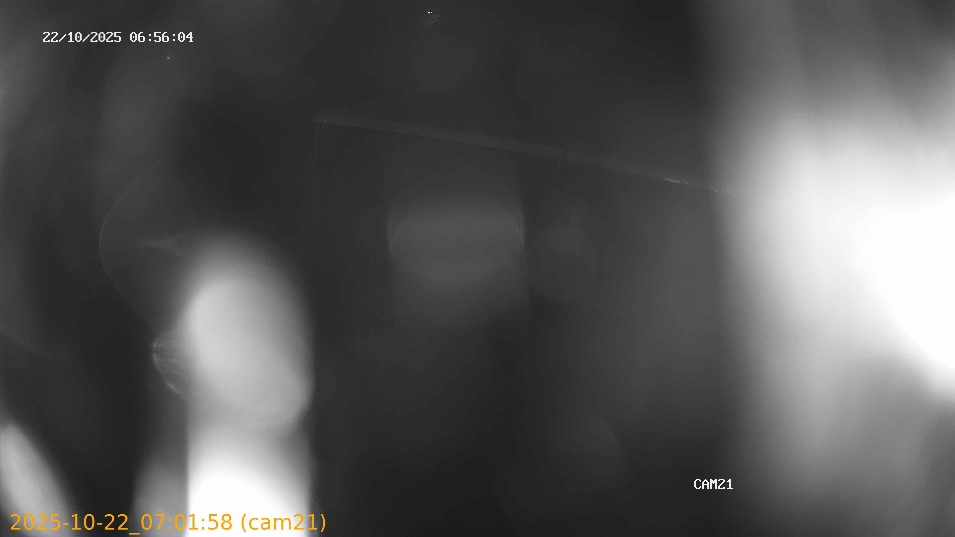 thumbnail_202510220701