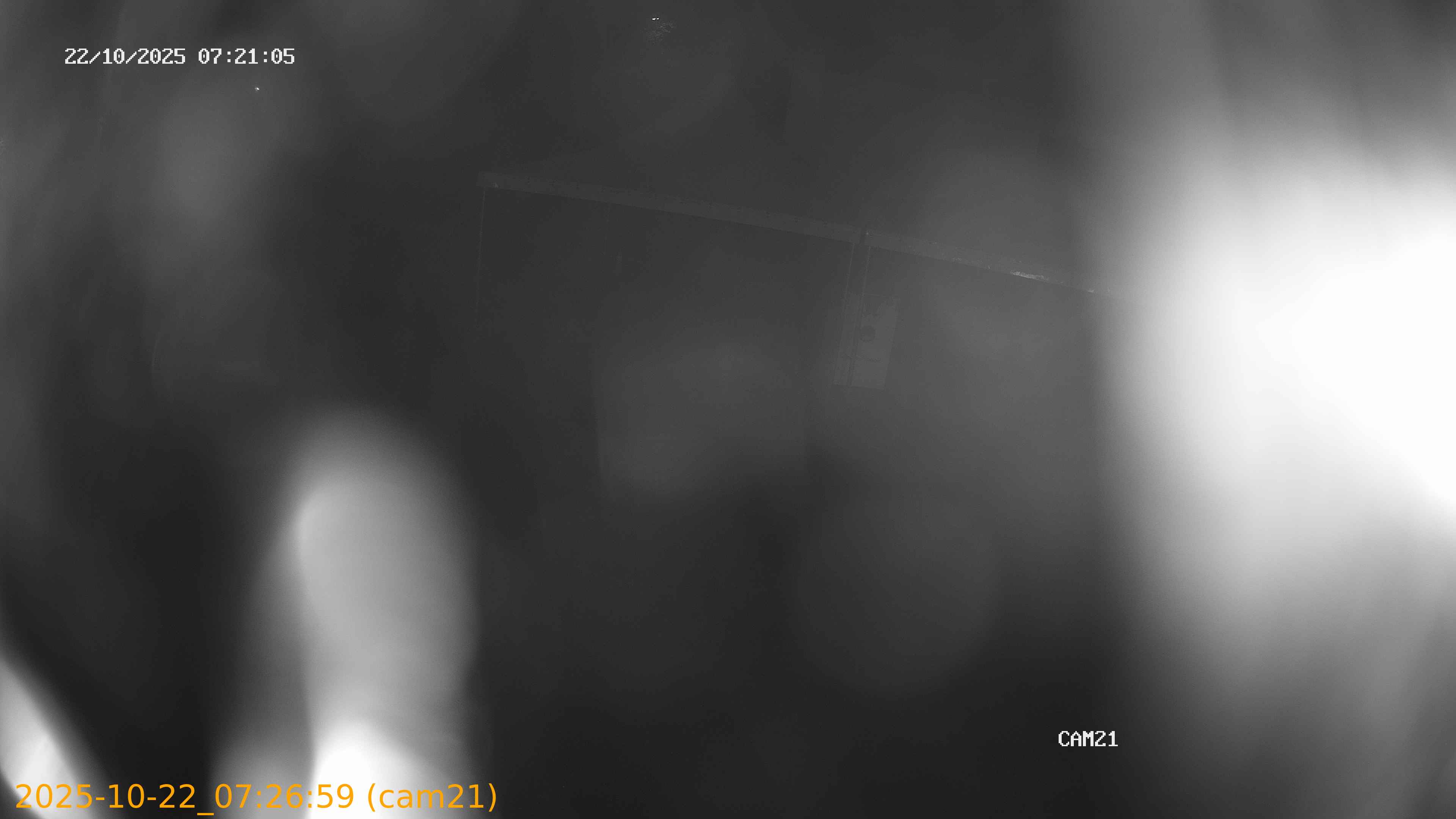 thumbnail_202510220726