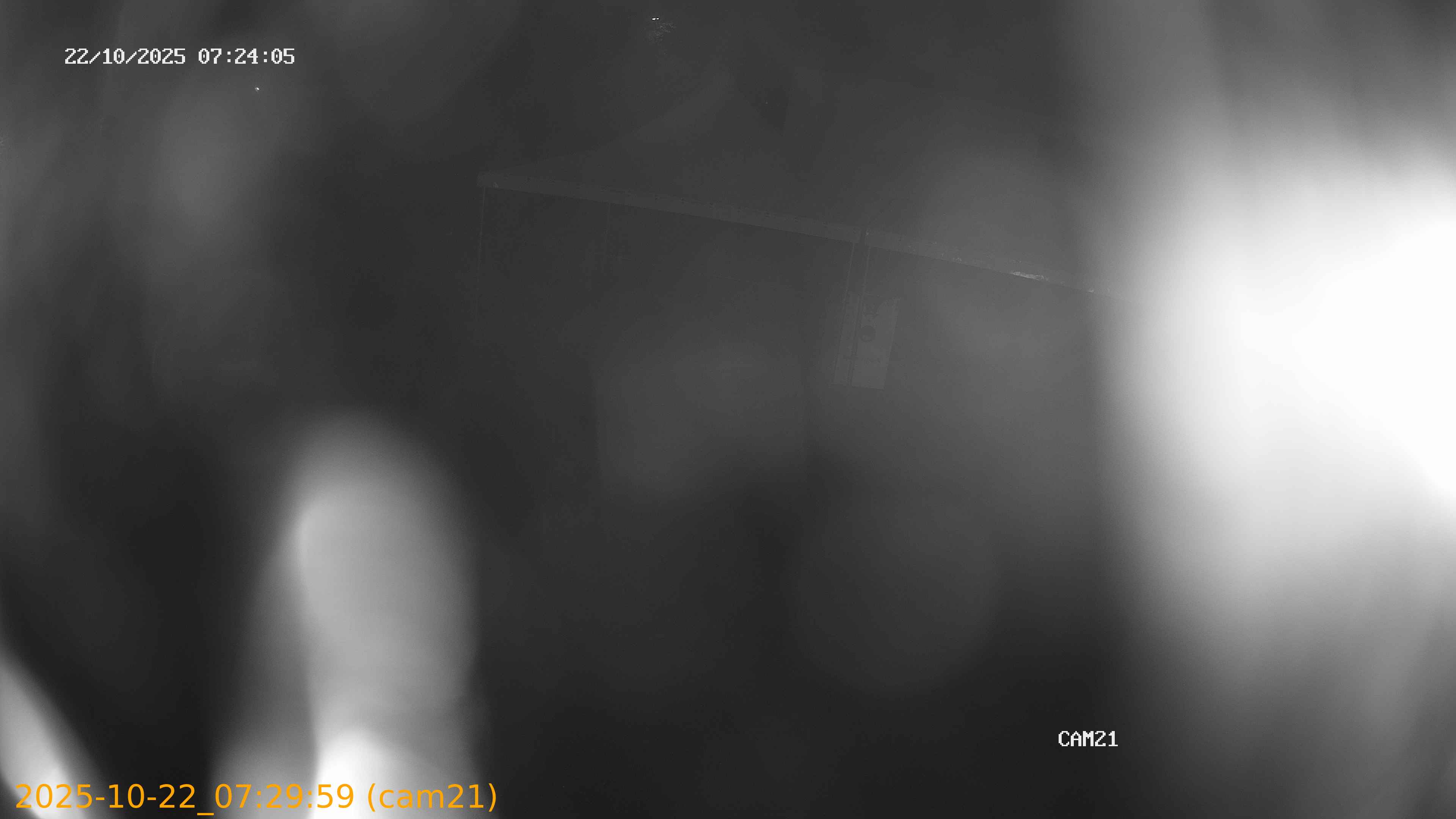 thumbnail_202510220729