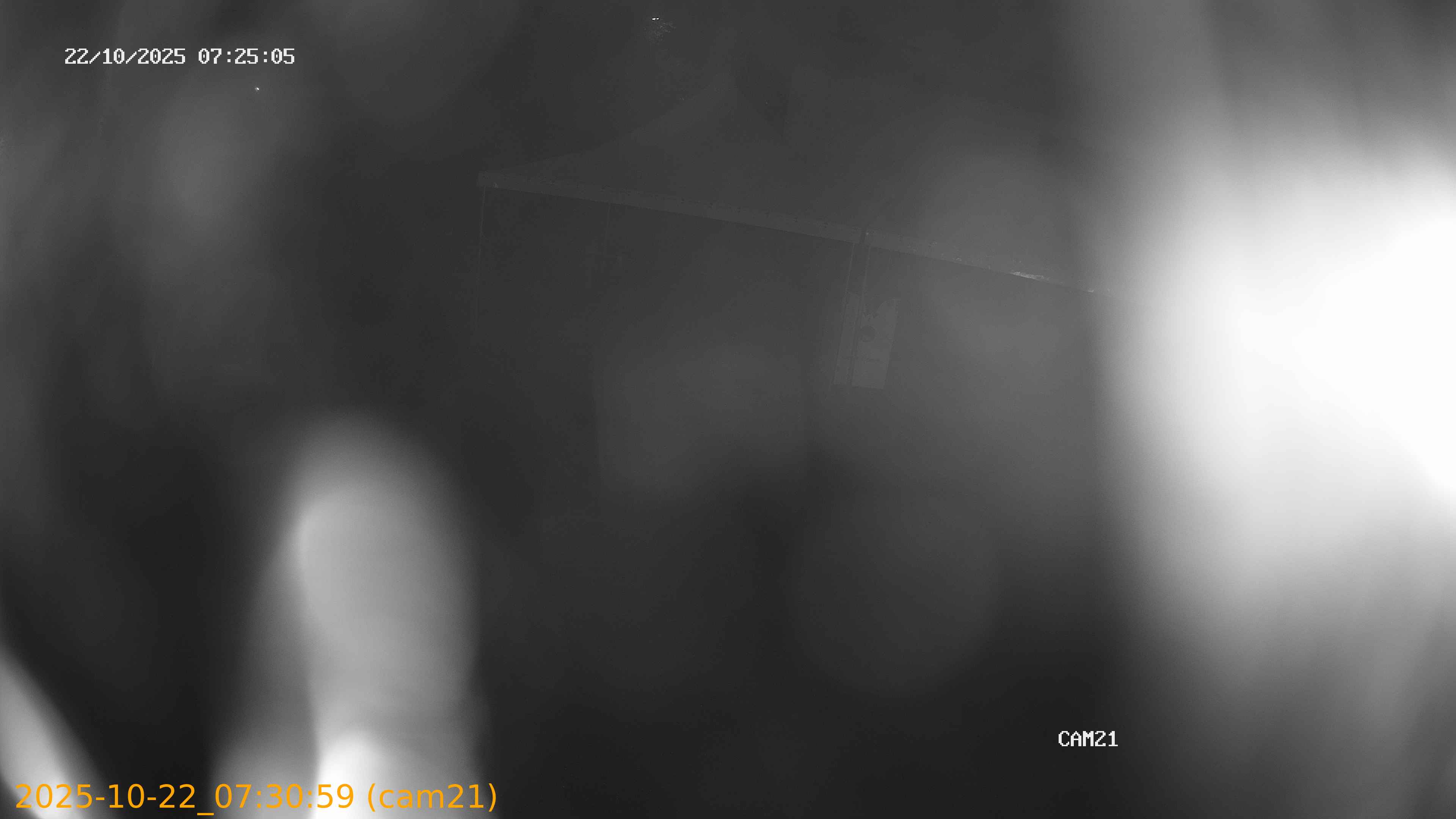 thumbnail_202510220730